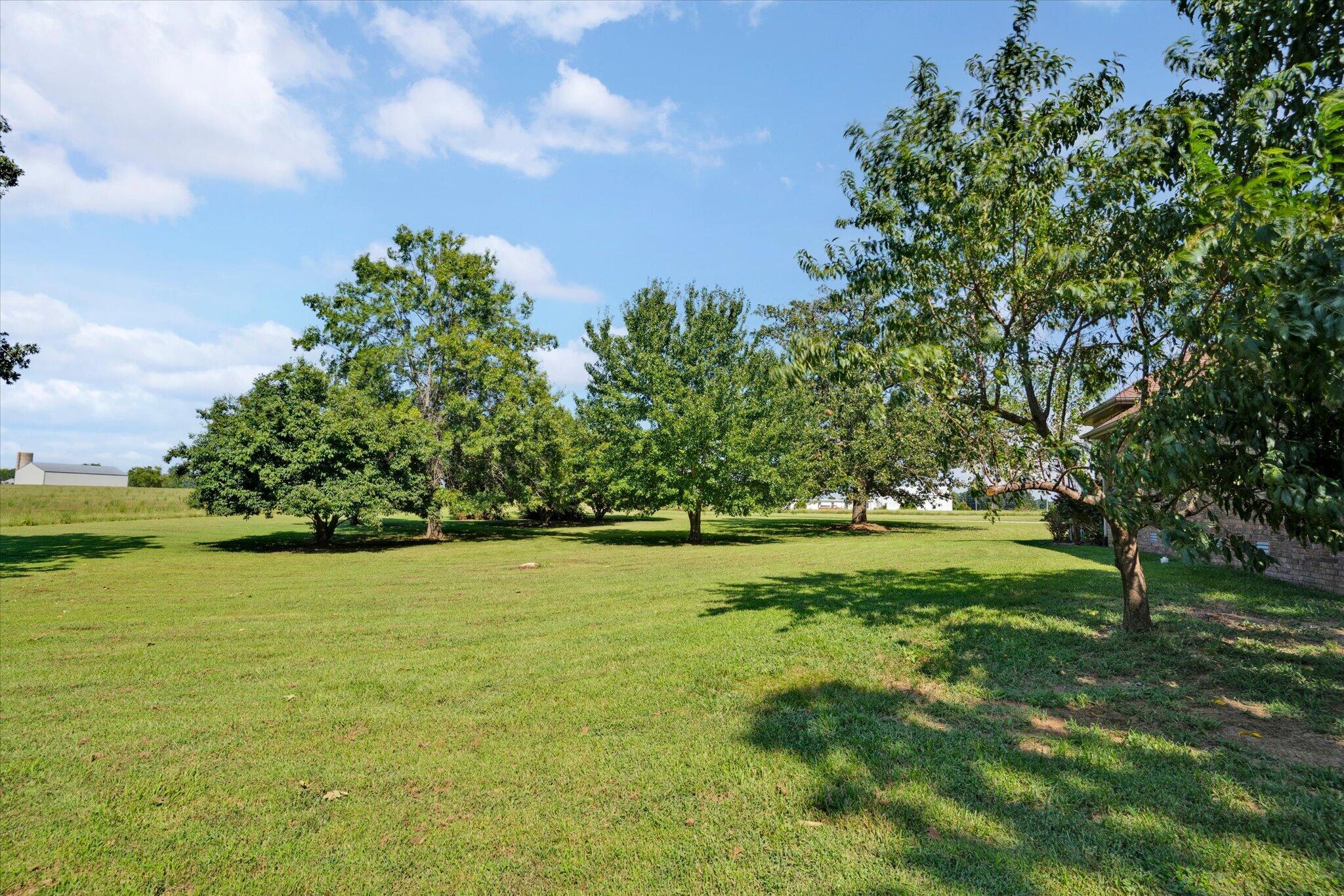 203 Reunion Acres Property Photo 52
