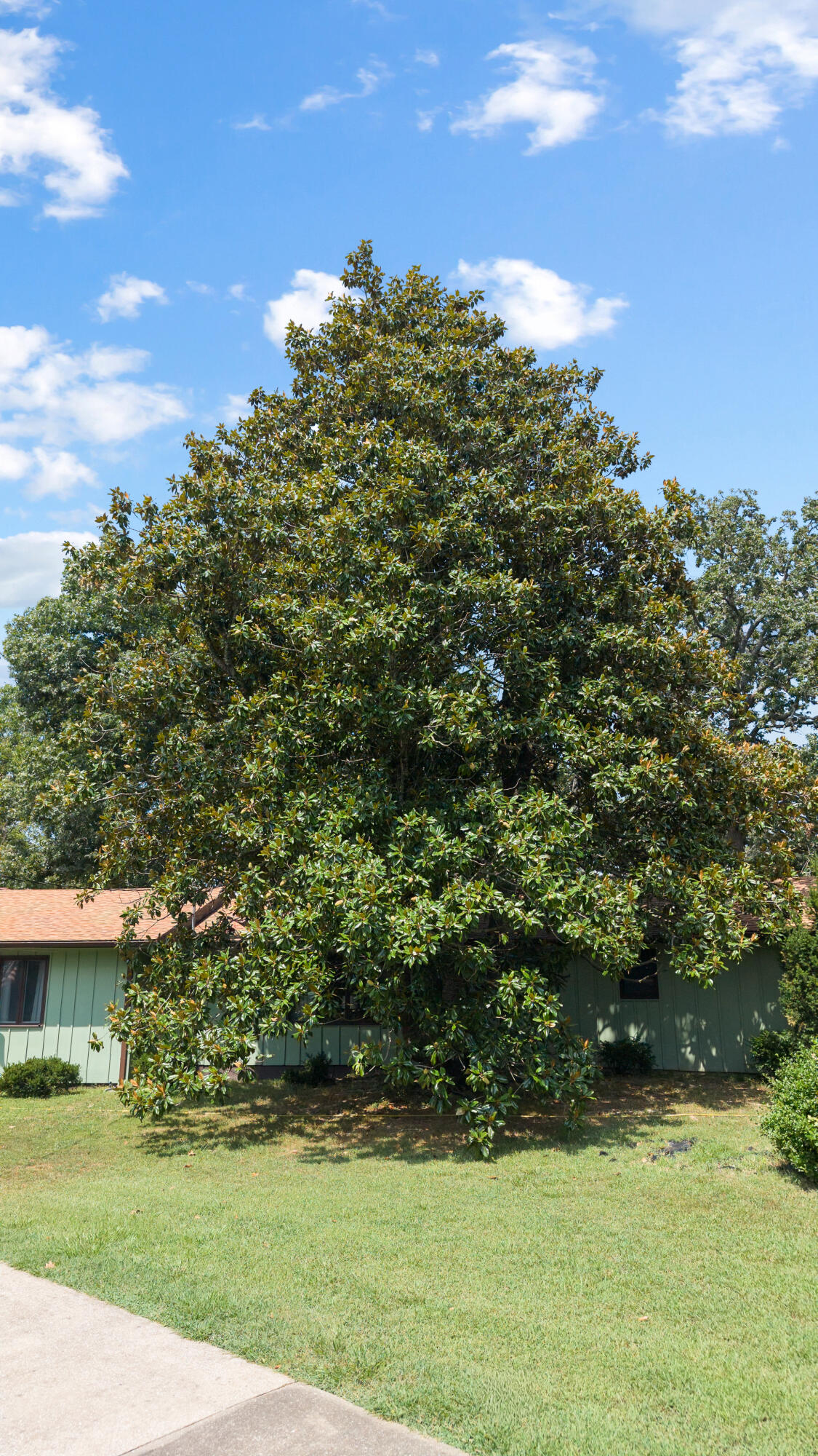 1017 Chinquapin Street Property Photo 25