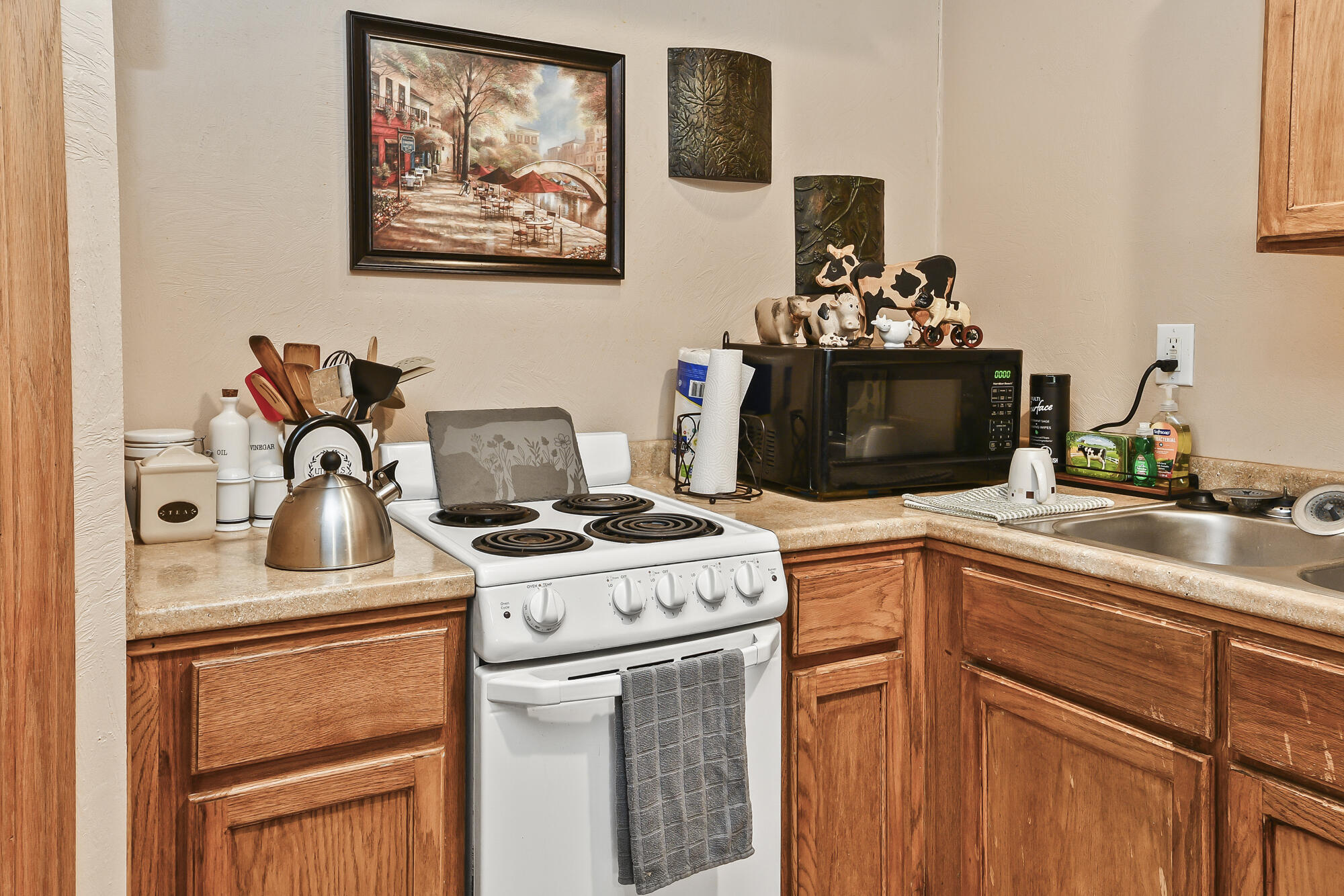 1035 East Linwood Terrace Property Photo 36