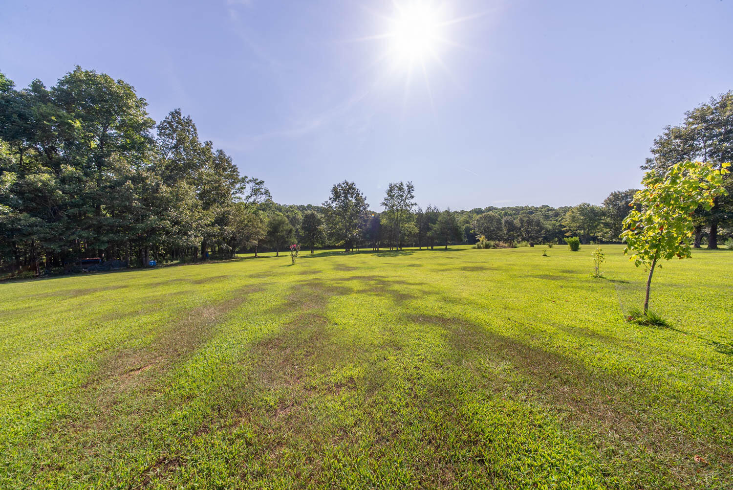 210 Meadow Brook Lane Property Photo 33