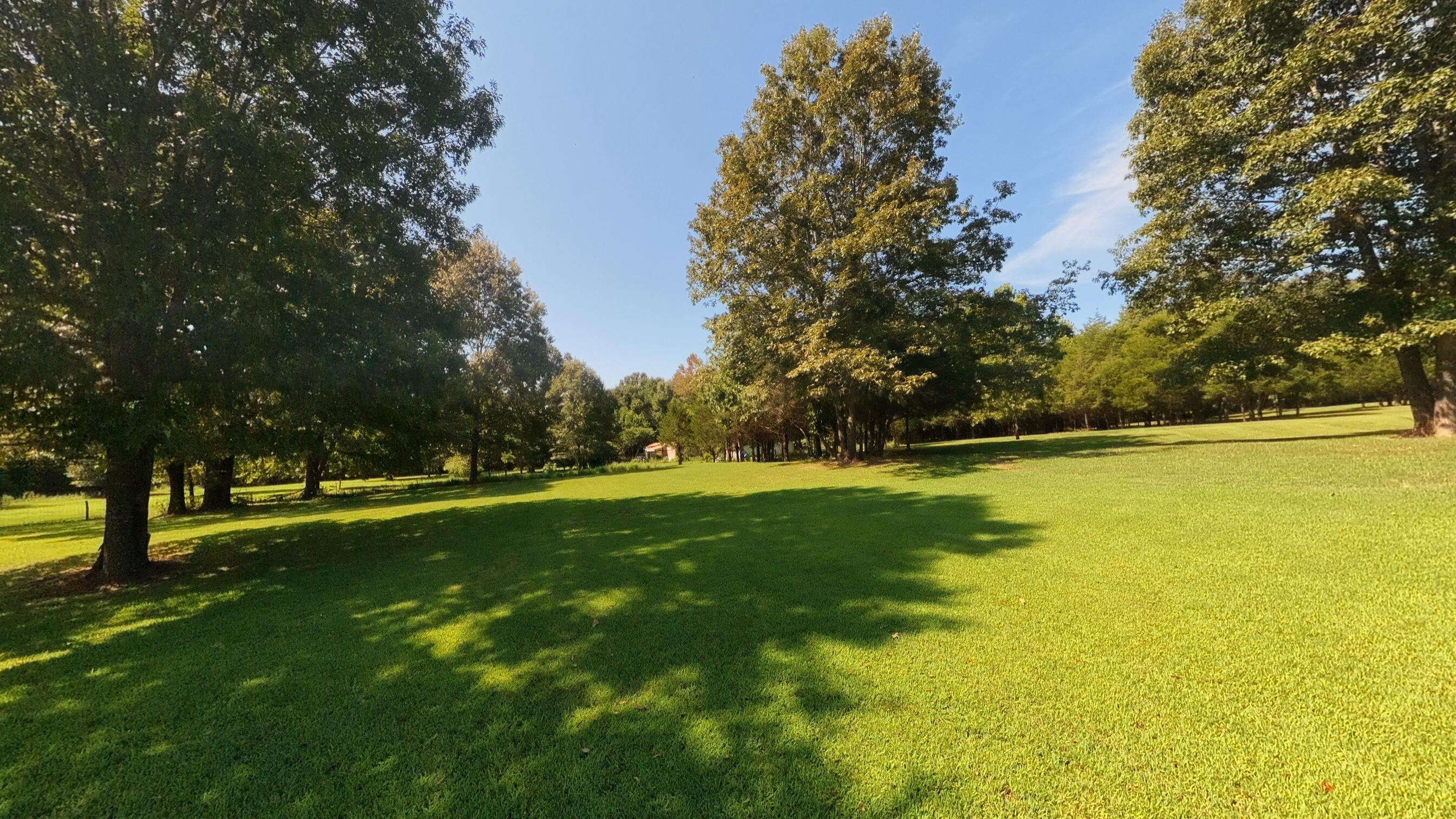 210 Meadow Brook Lane Property Photo 74
