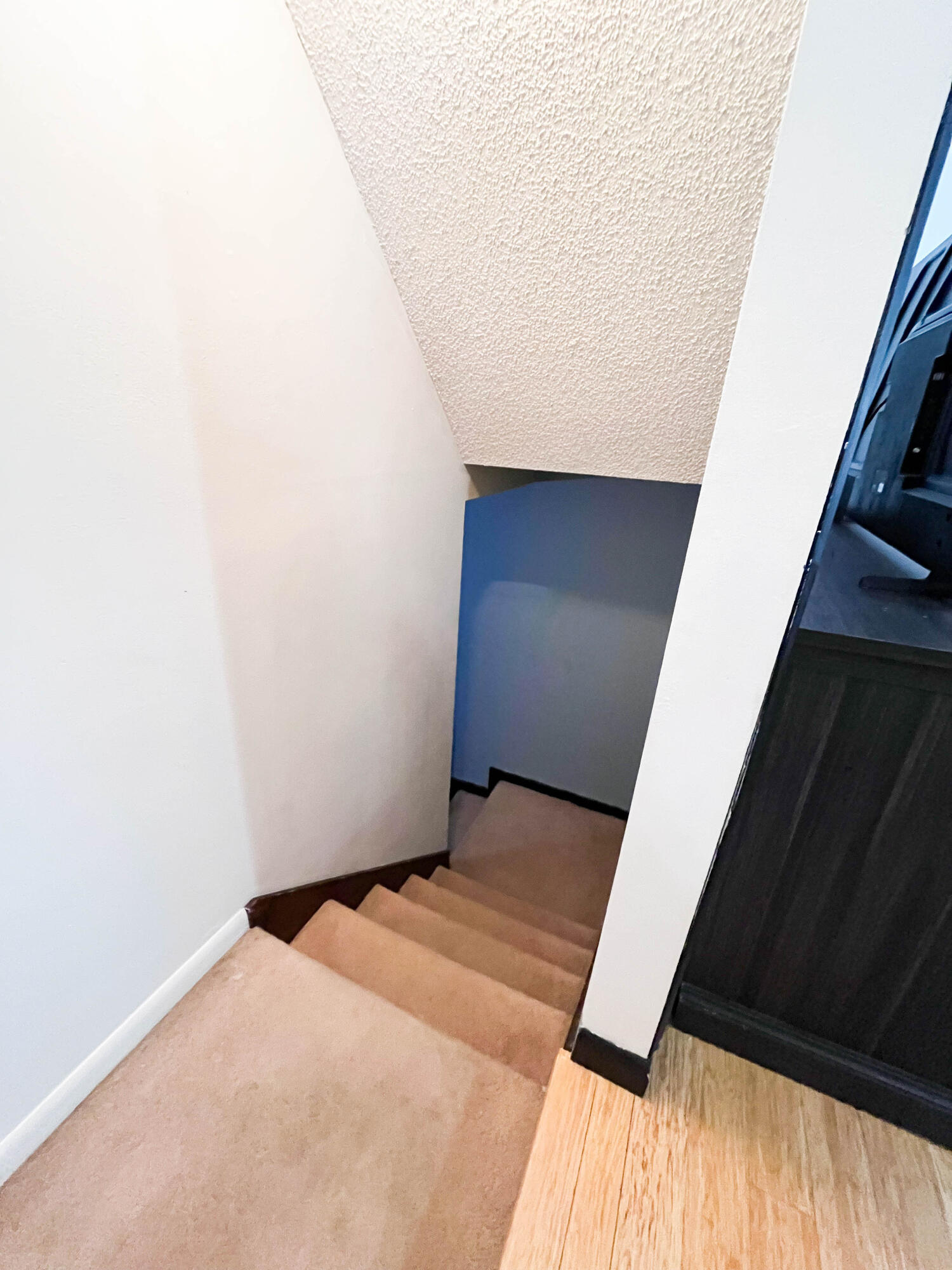 1501 Spinnenwebber Street Property Photo 13