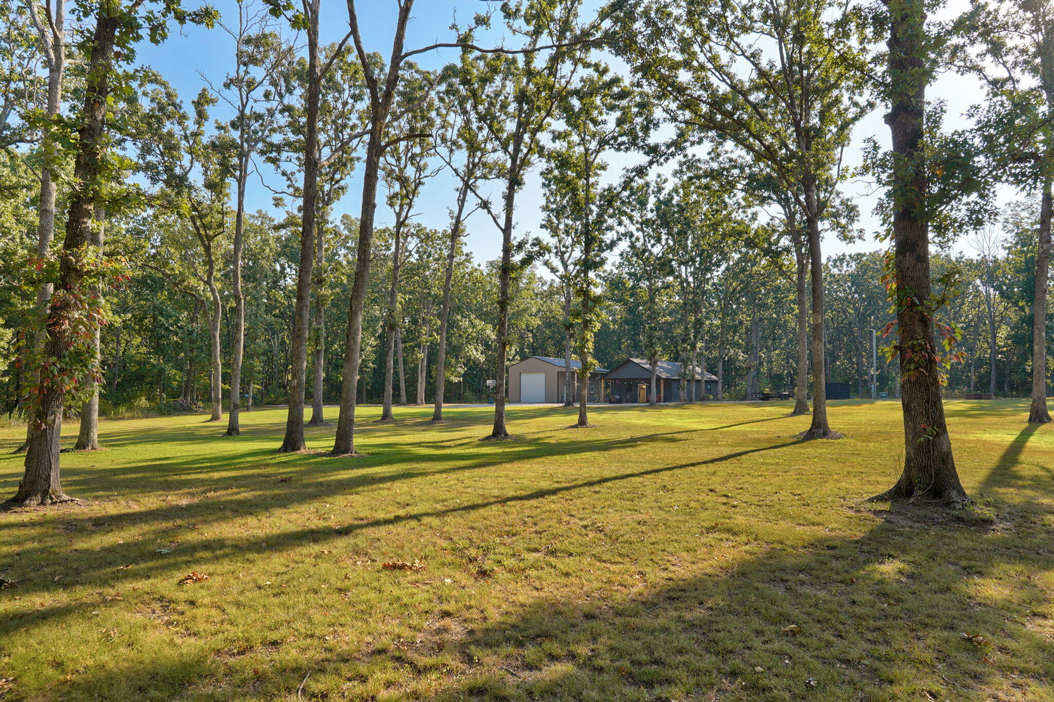 7670 State Hwy Ff Property Photo 35