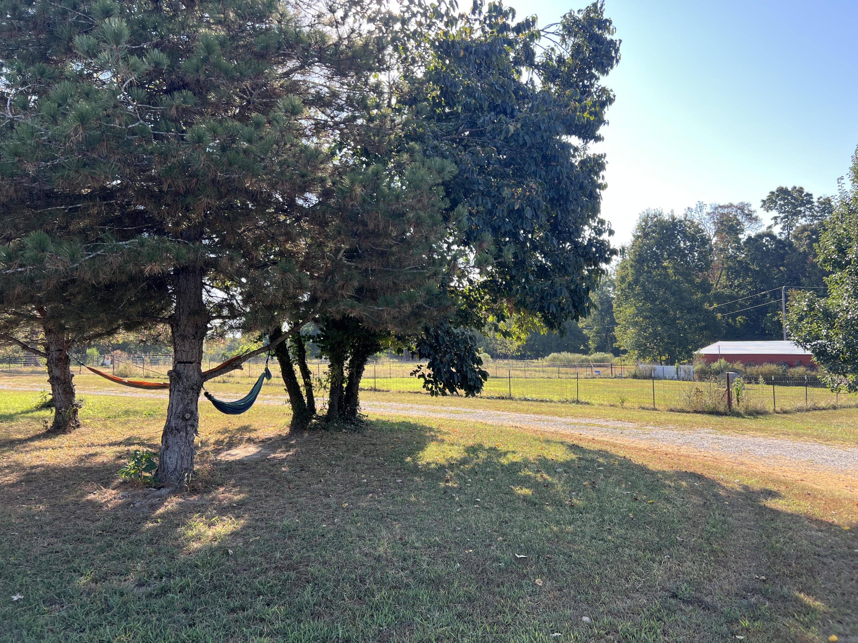 2355 King Road Property Photo 56