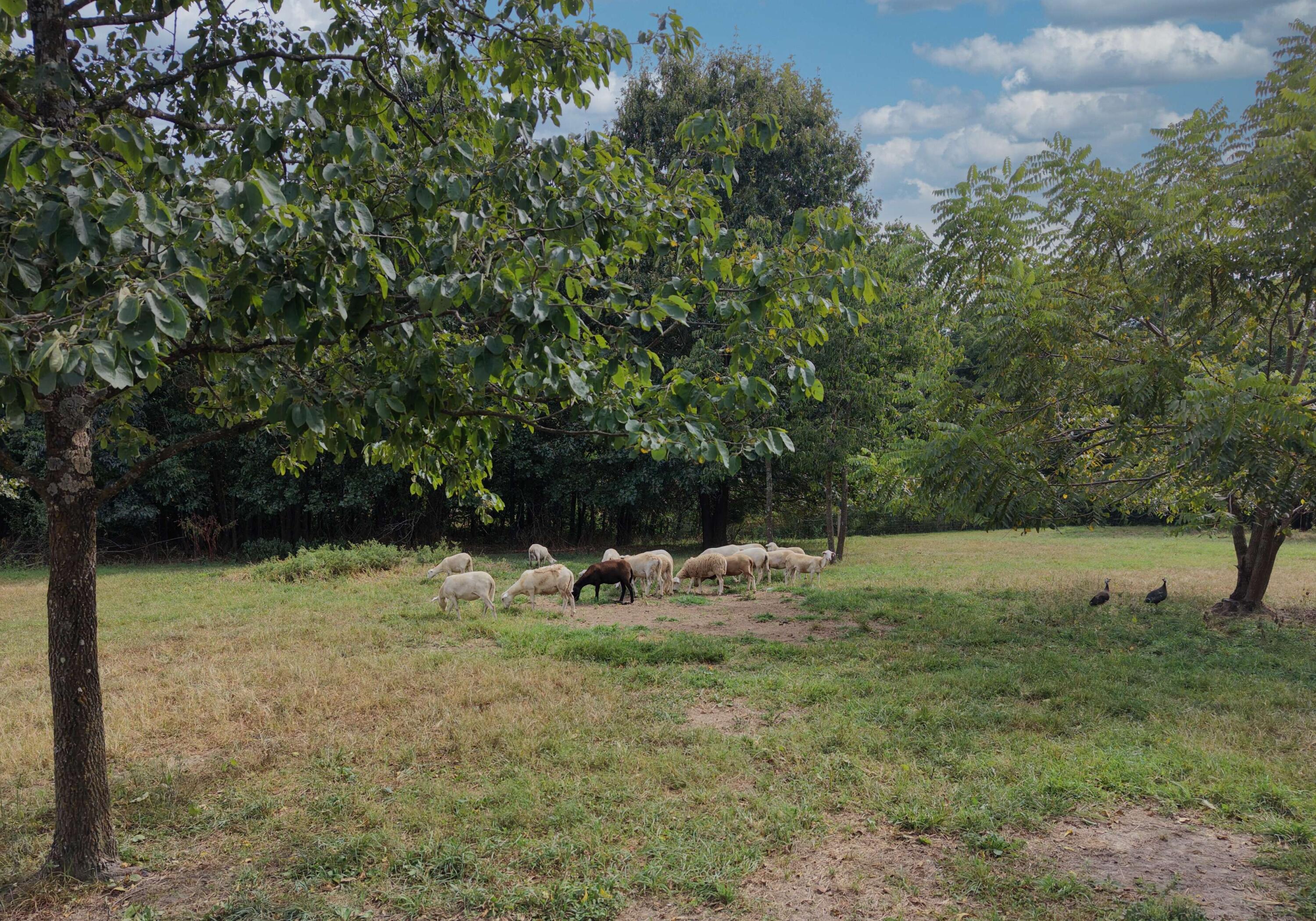 2355 King Road Property Photo 70