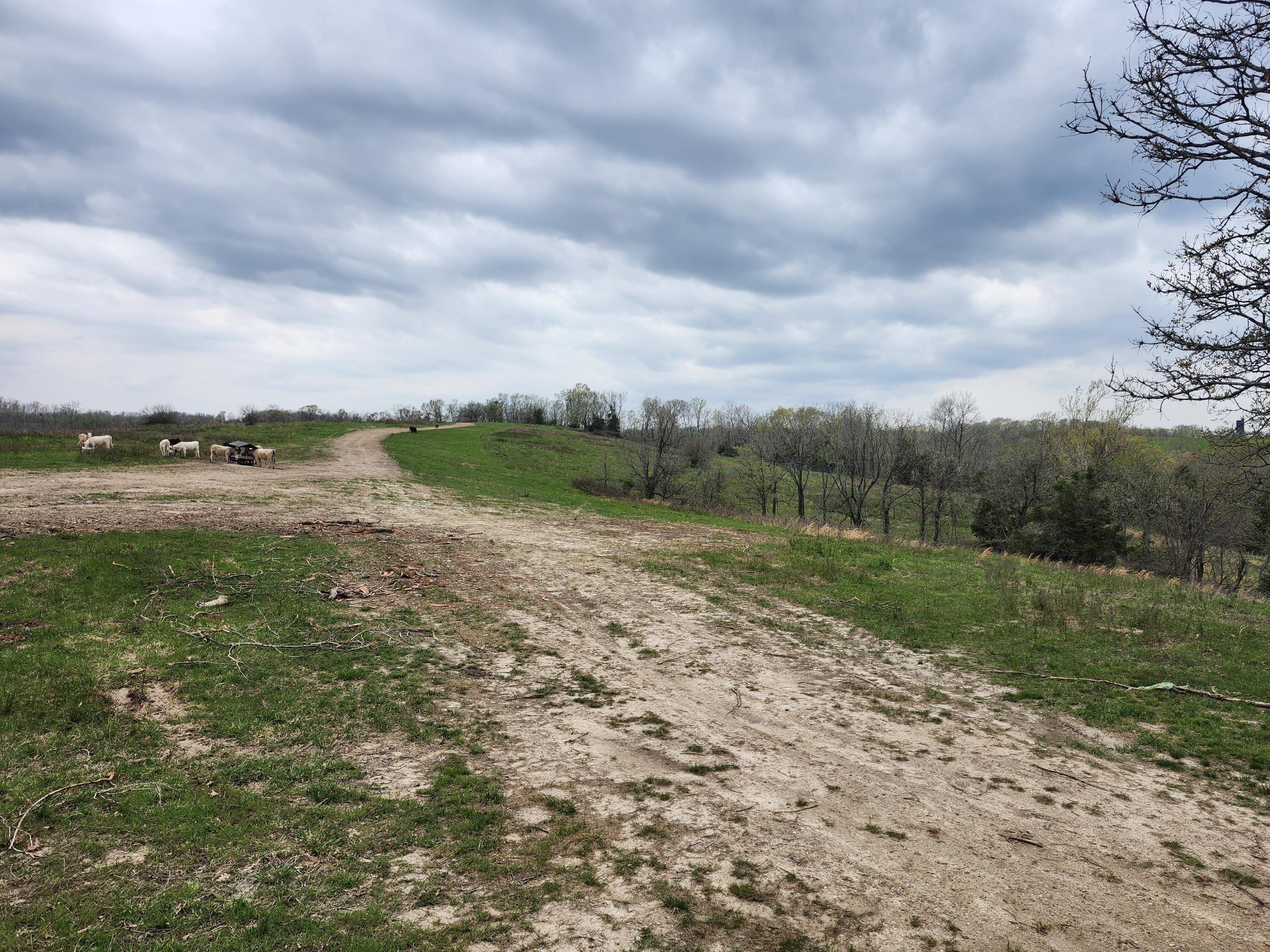 Tbd Gravelpoint Road Property Photo 2