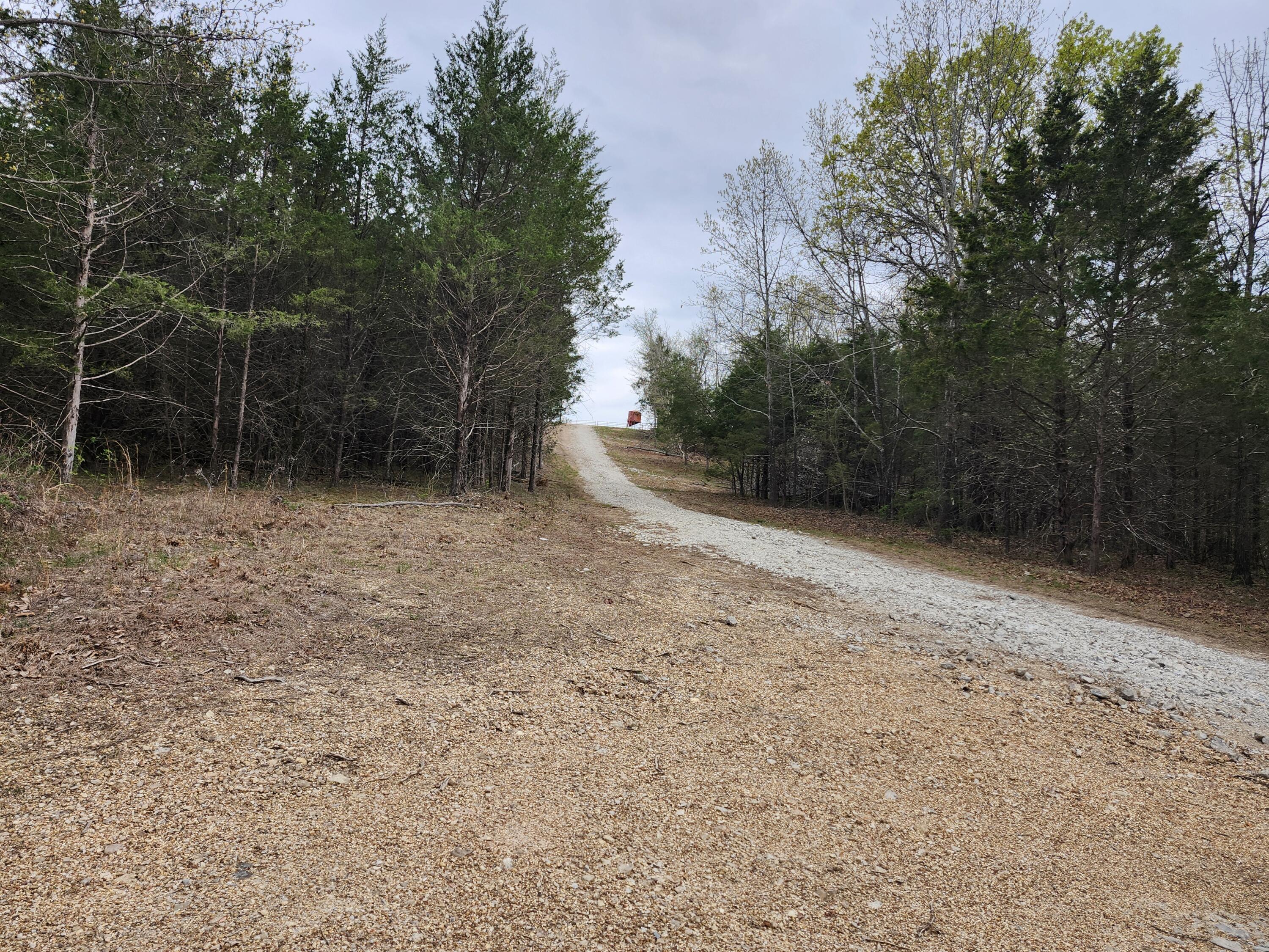 Tbd Gravelpoint Road Property Photo 4