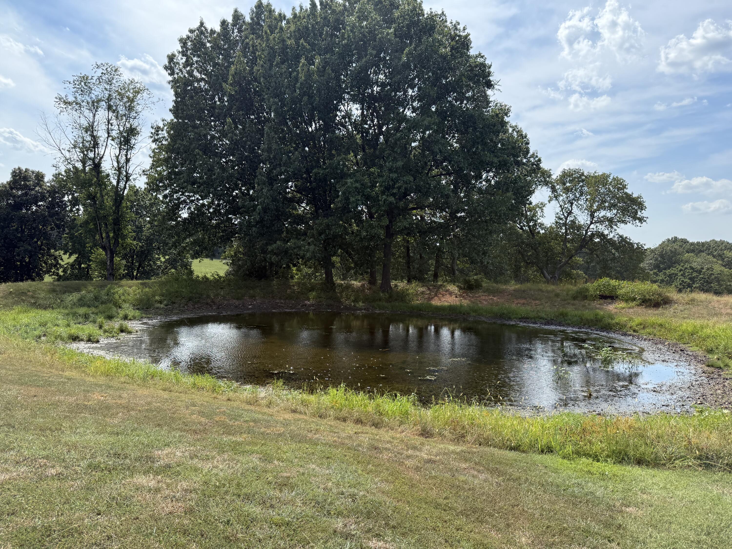 17984 State Highway 248 Property Photo 79