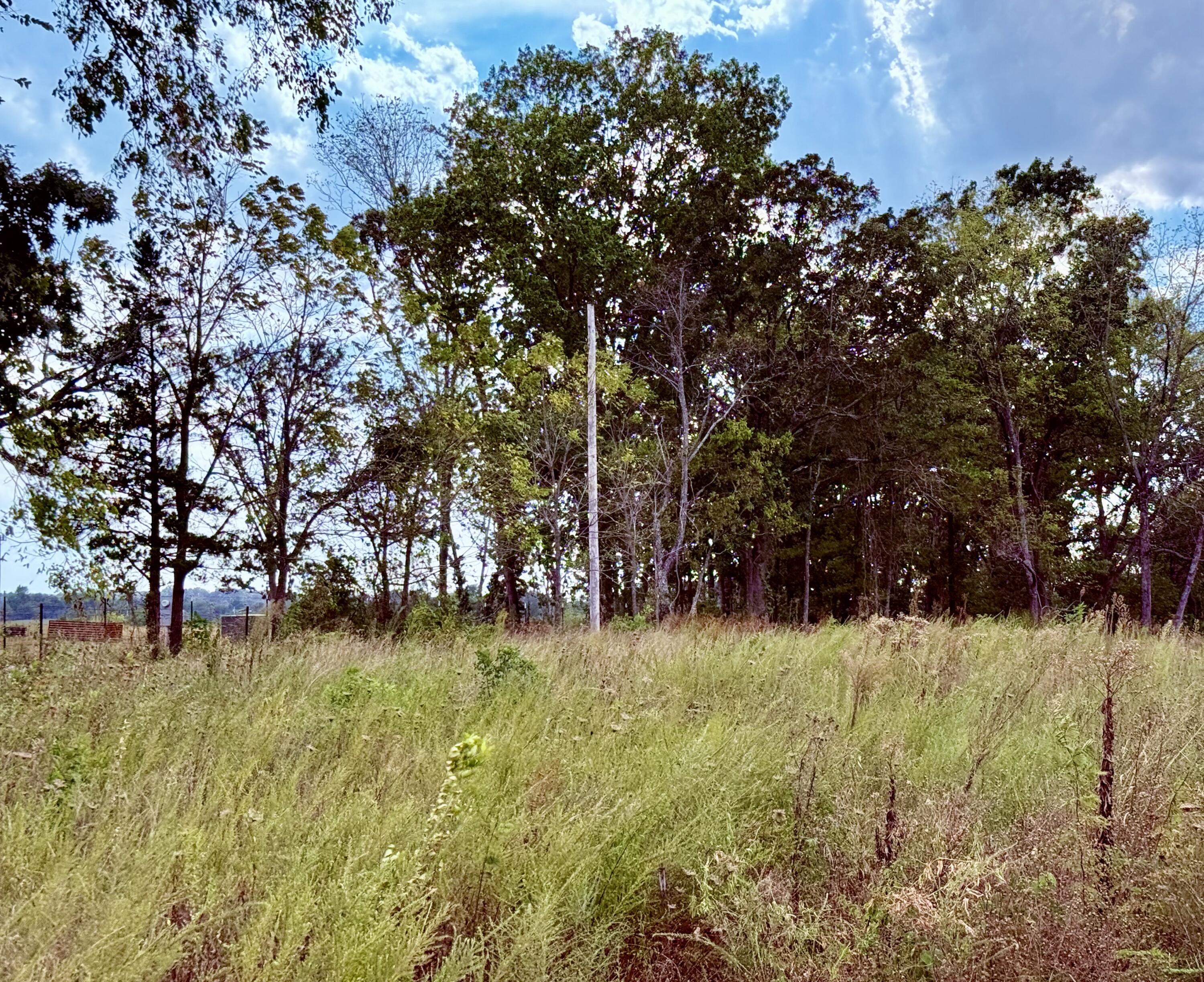 1002 Dys Drive Property Photo 2