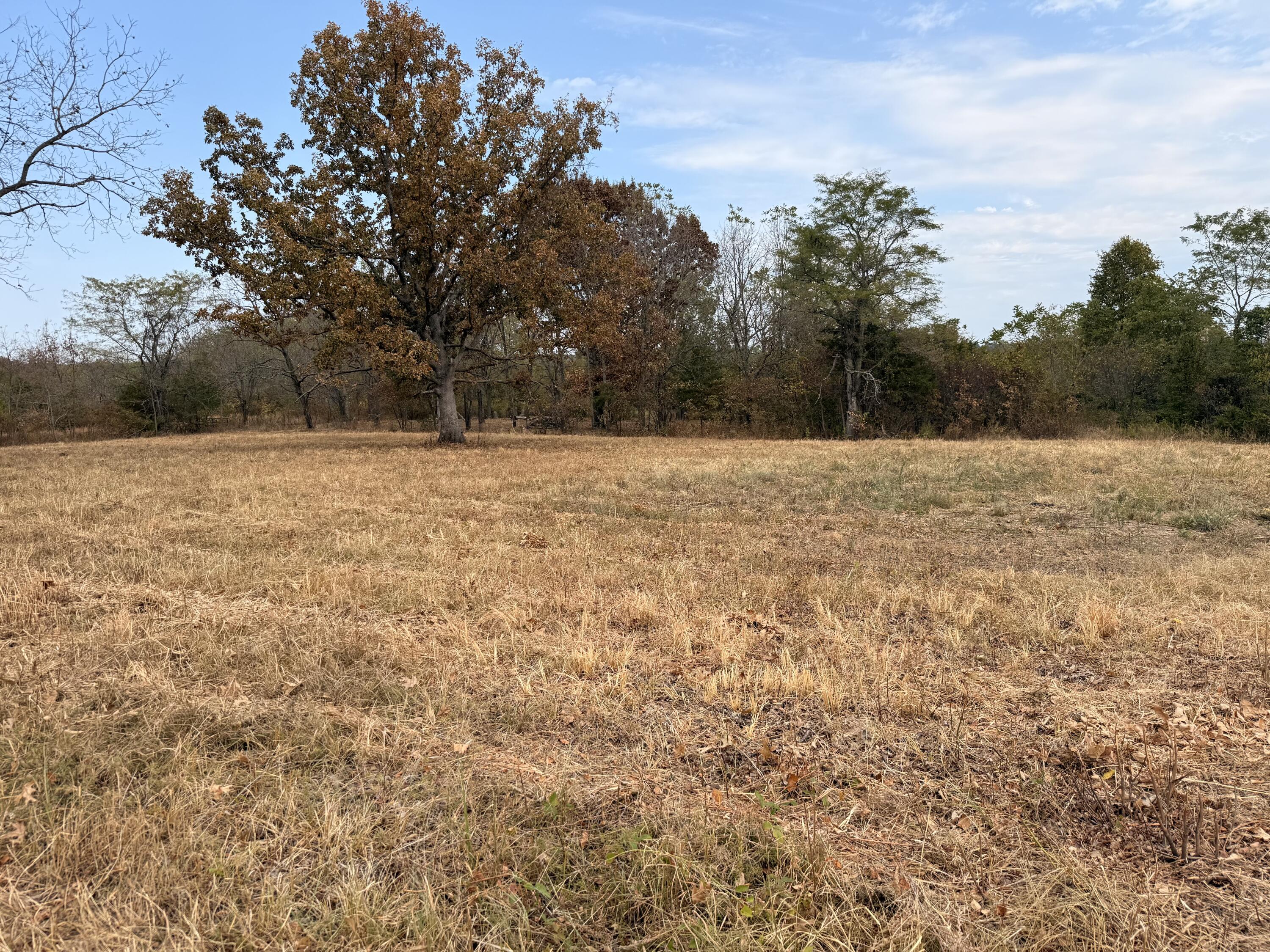 1002 Dys Drive Property Photo 2