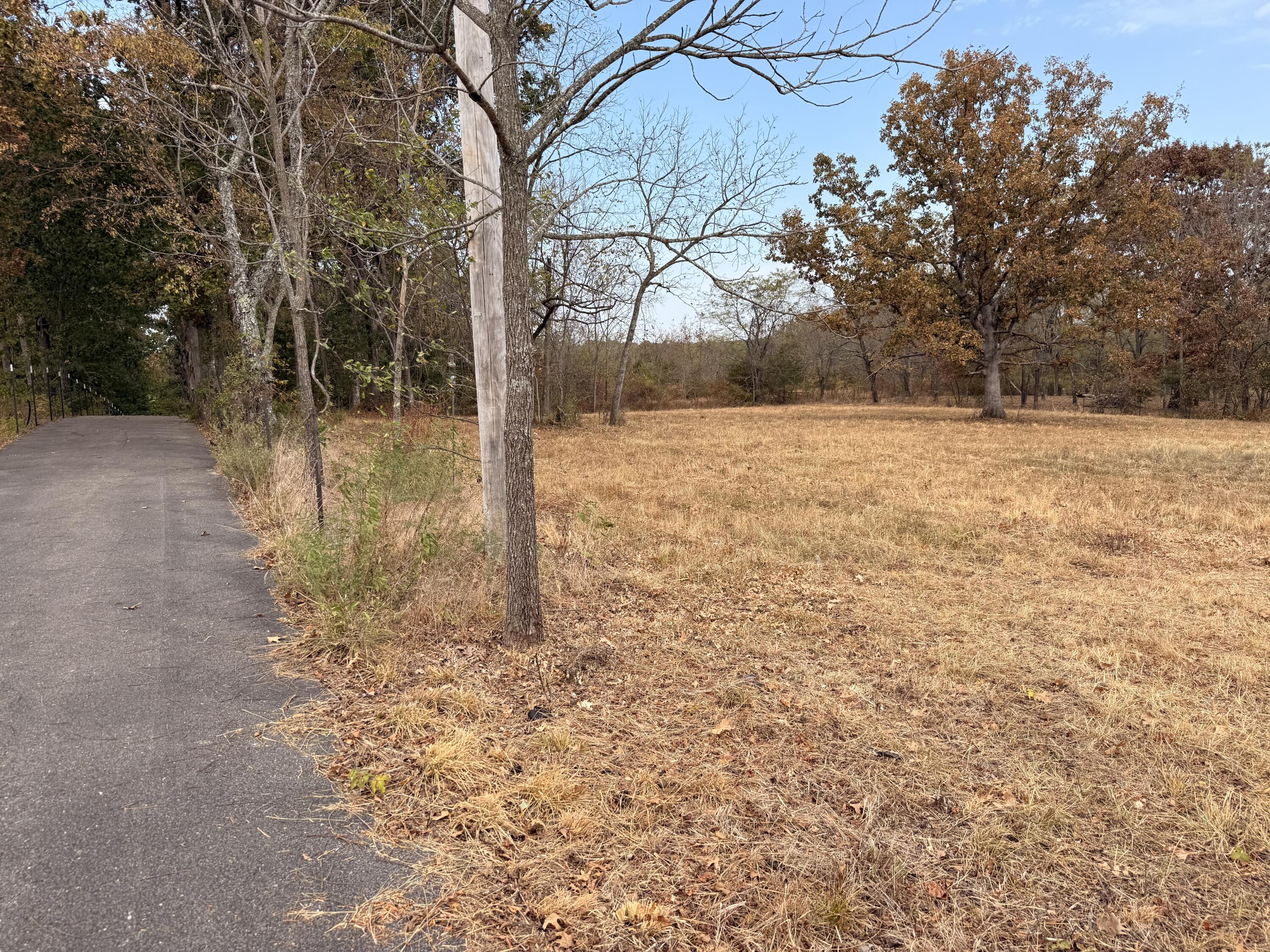 1002 Dys Drive Property Photo 3
