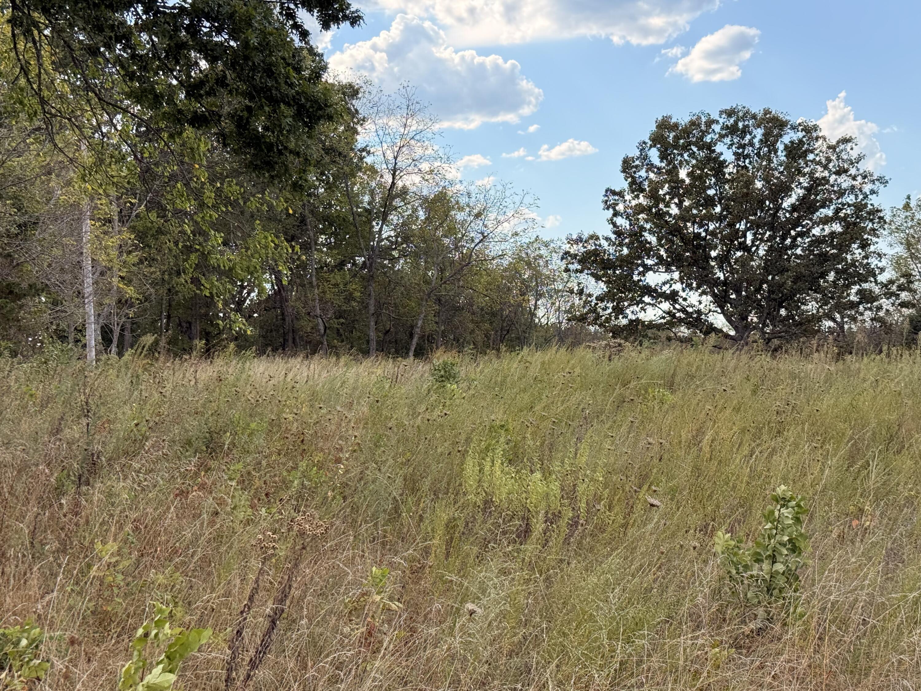 1002 Dys Drive Property Photo 4