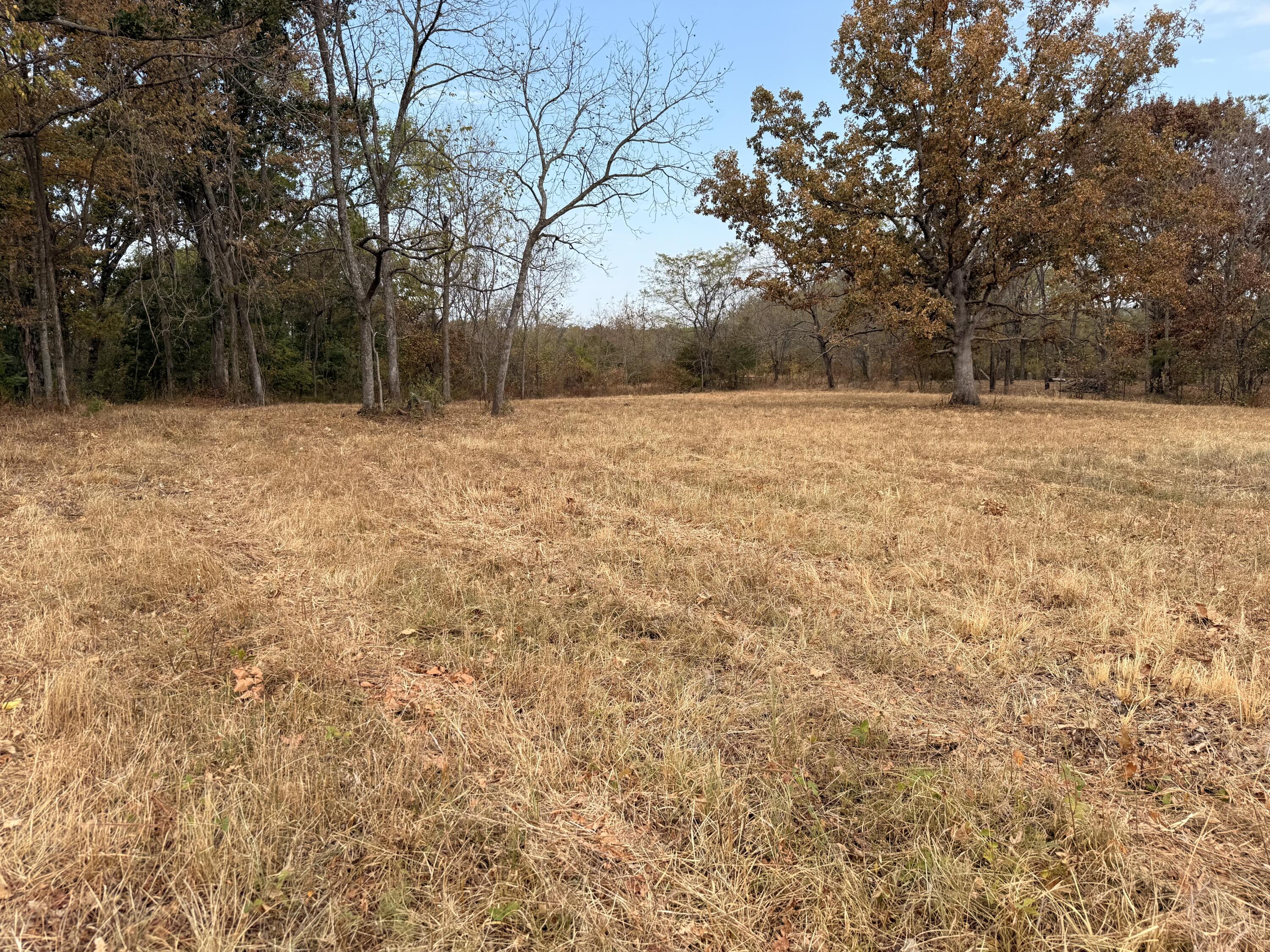 1002 Dys Drive Property Photo 6