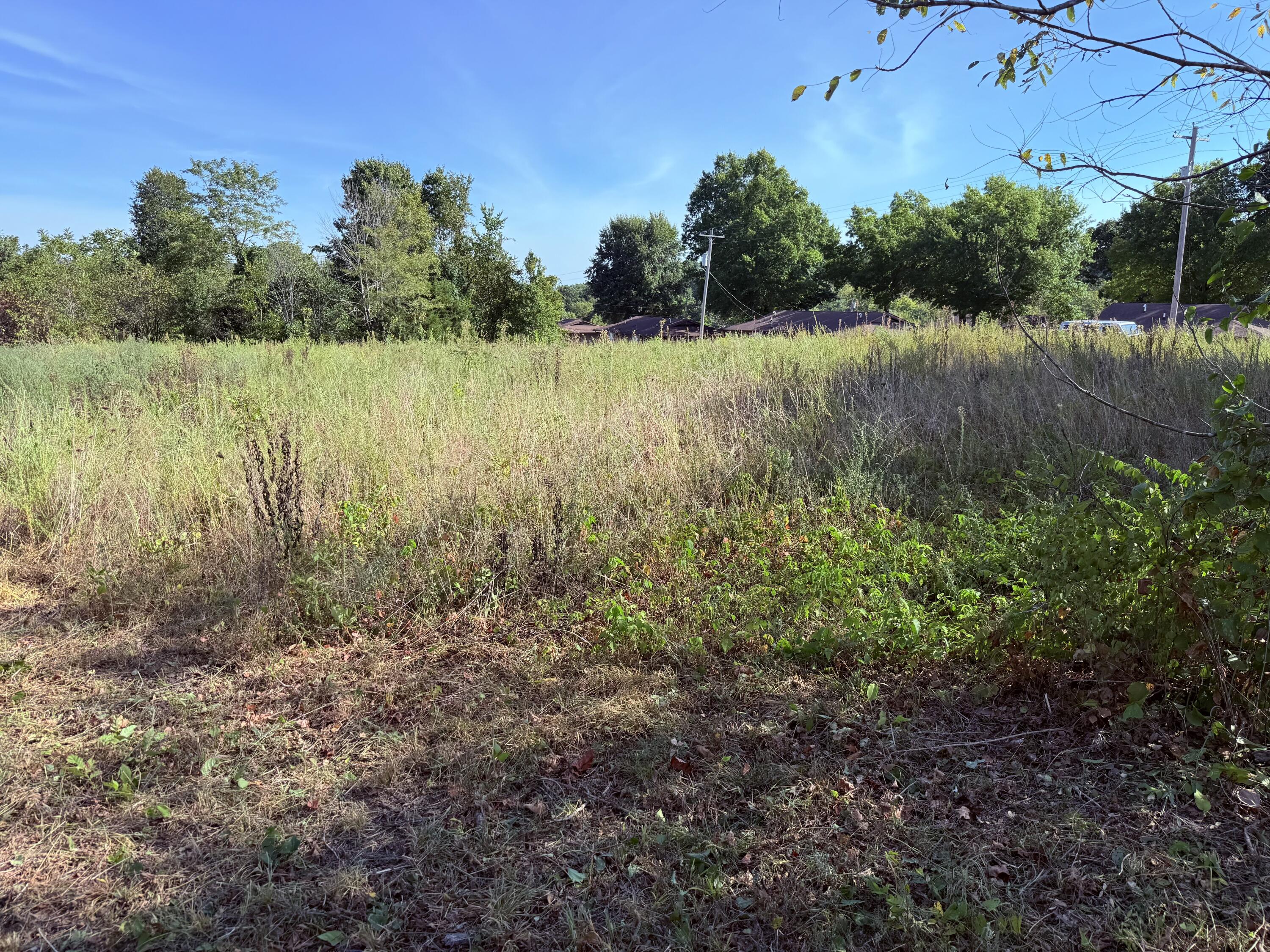1002 Dys Drive Property Photo 7