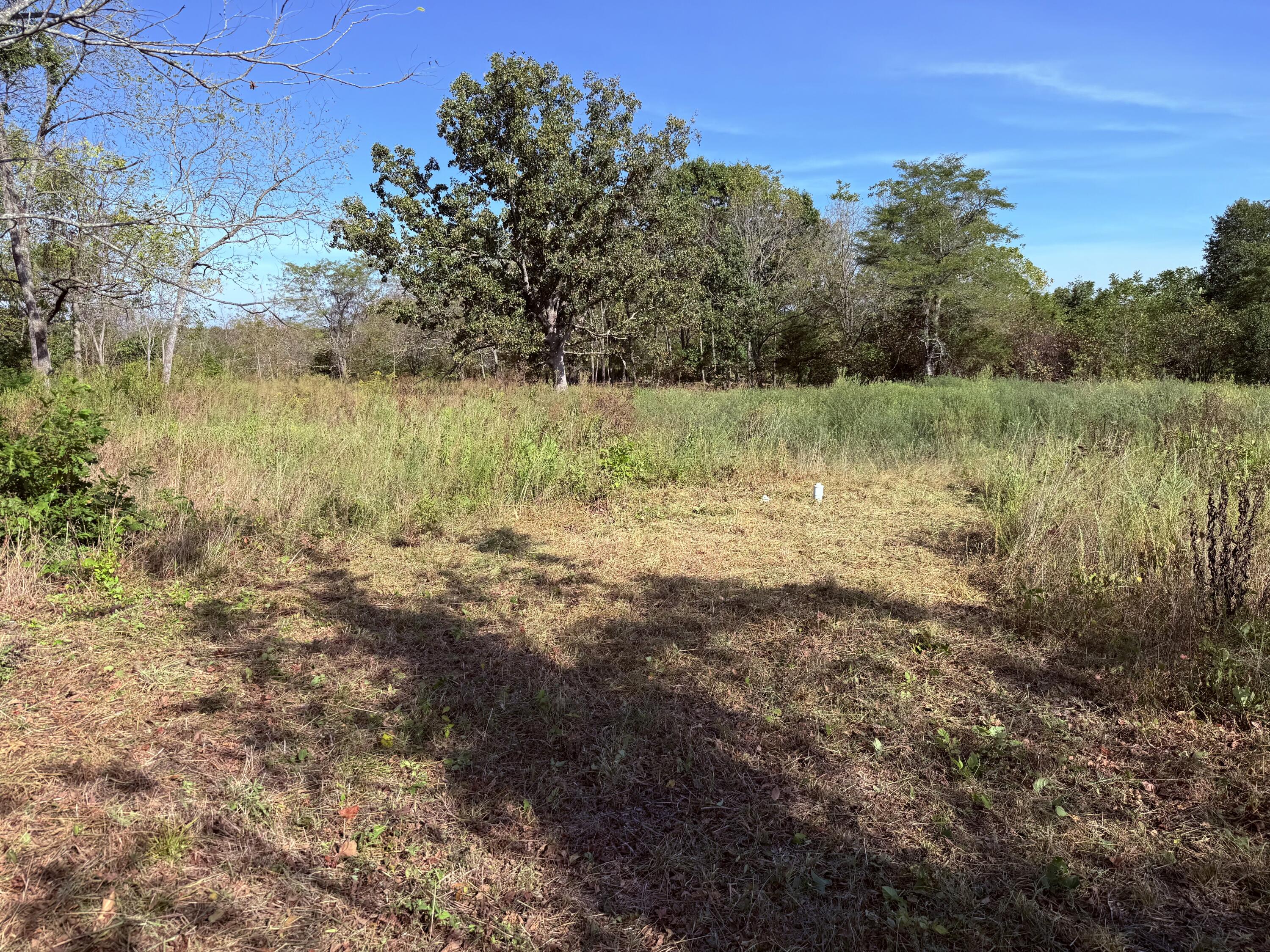 1002 Dys Drive Property Photo 8
