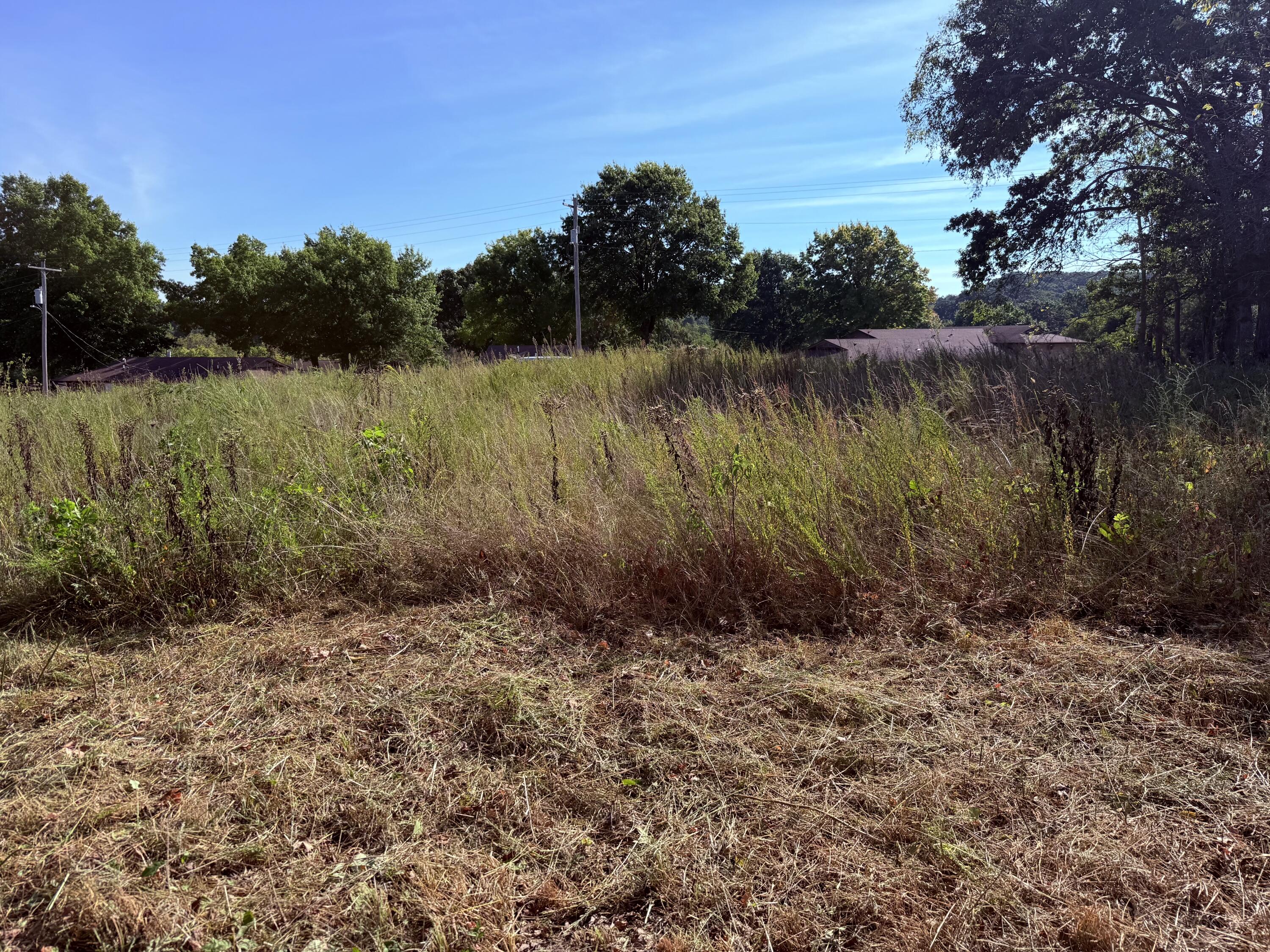 1002 Dys Drive Property Photo 10