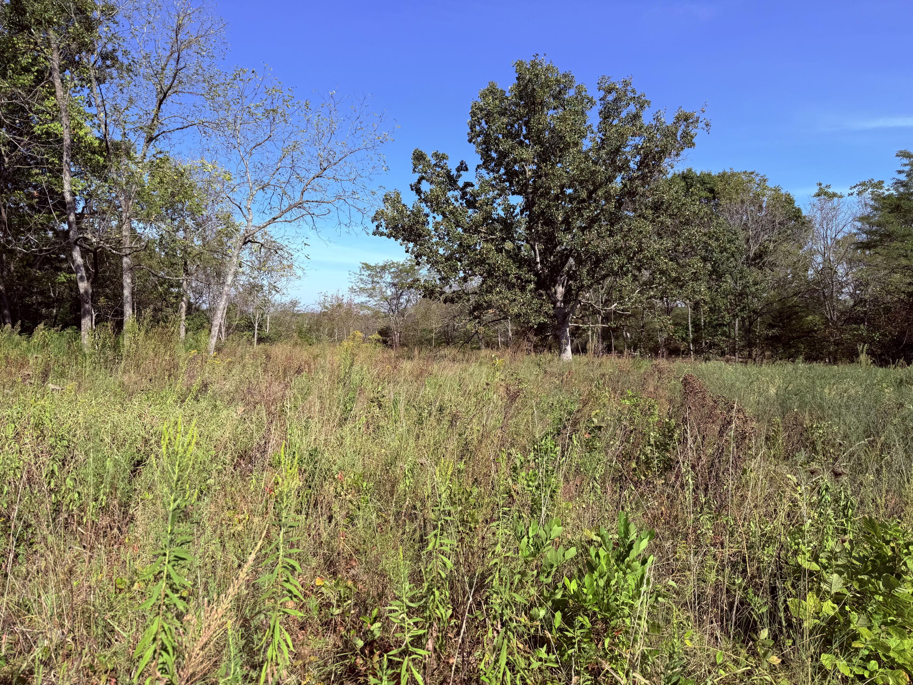 1002 Dys Drive Property Photo 11
