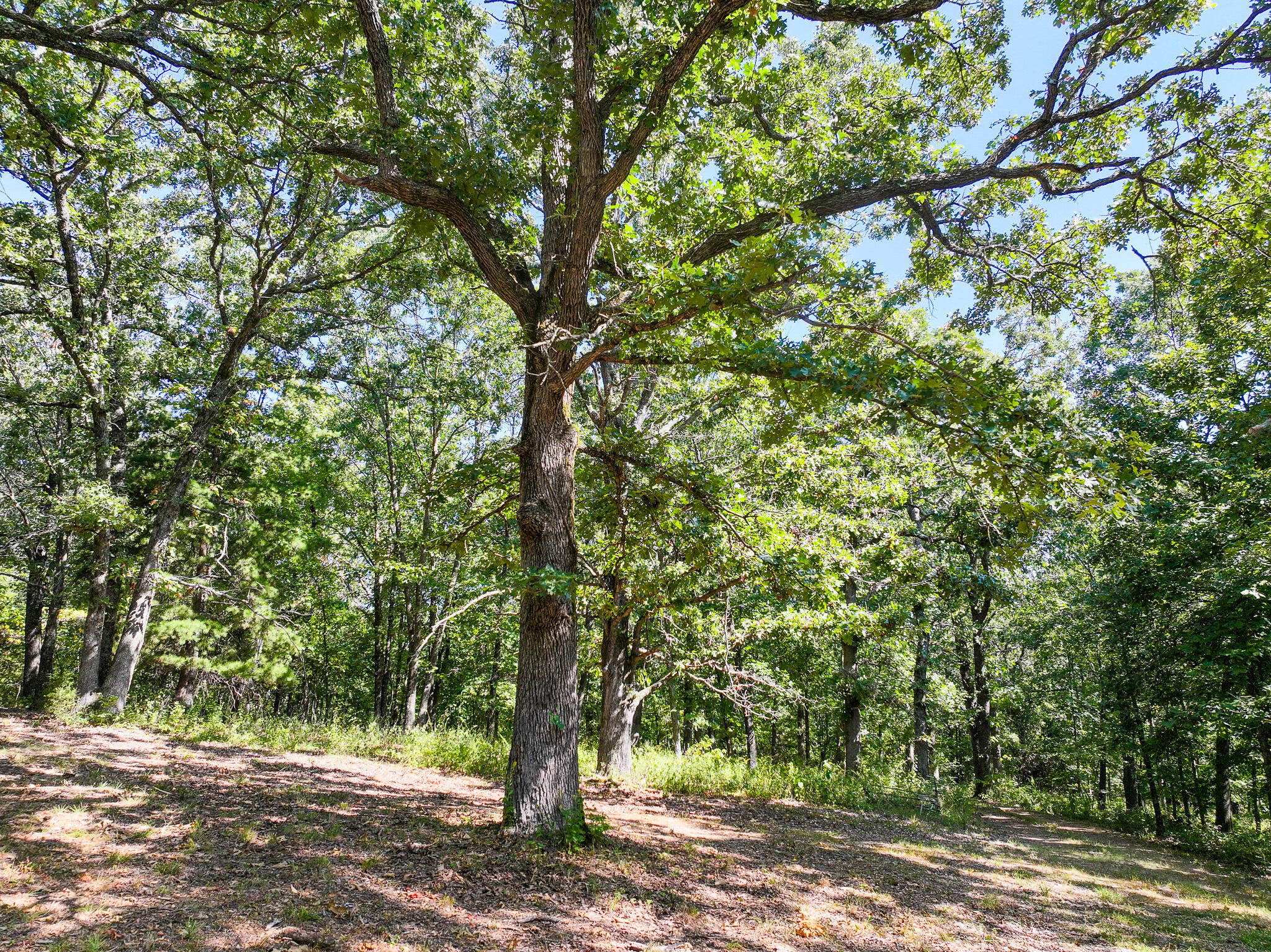 1855 Northeast 655 Private Road Property Photo 3