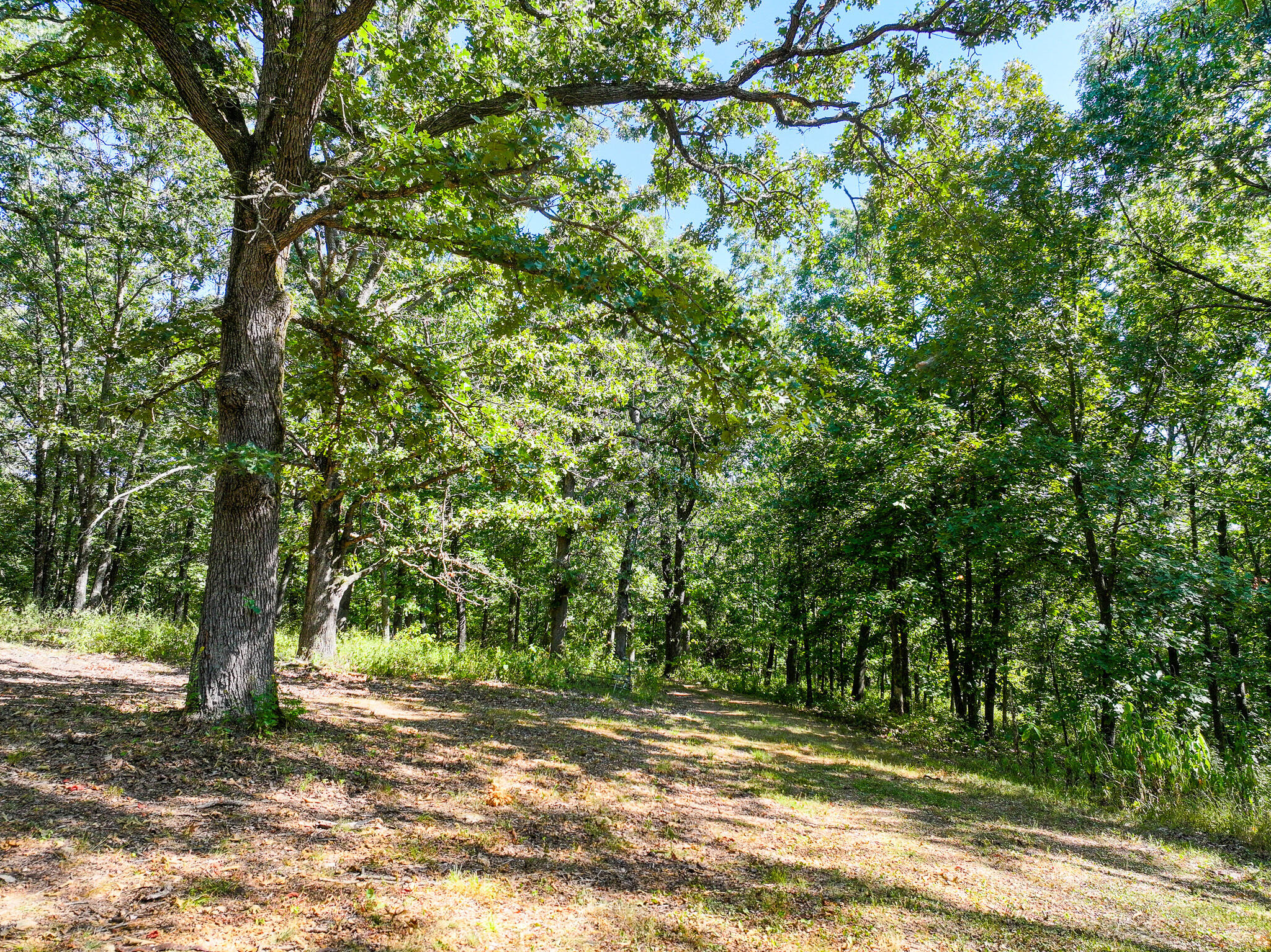 1855 Northeast 655 Private Road Property Photo 4