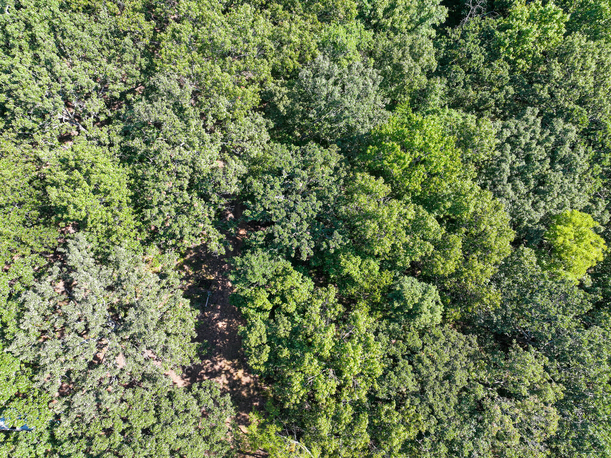 1855 Northeast 655 Private Road Property Photo 8