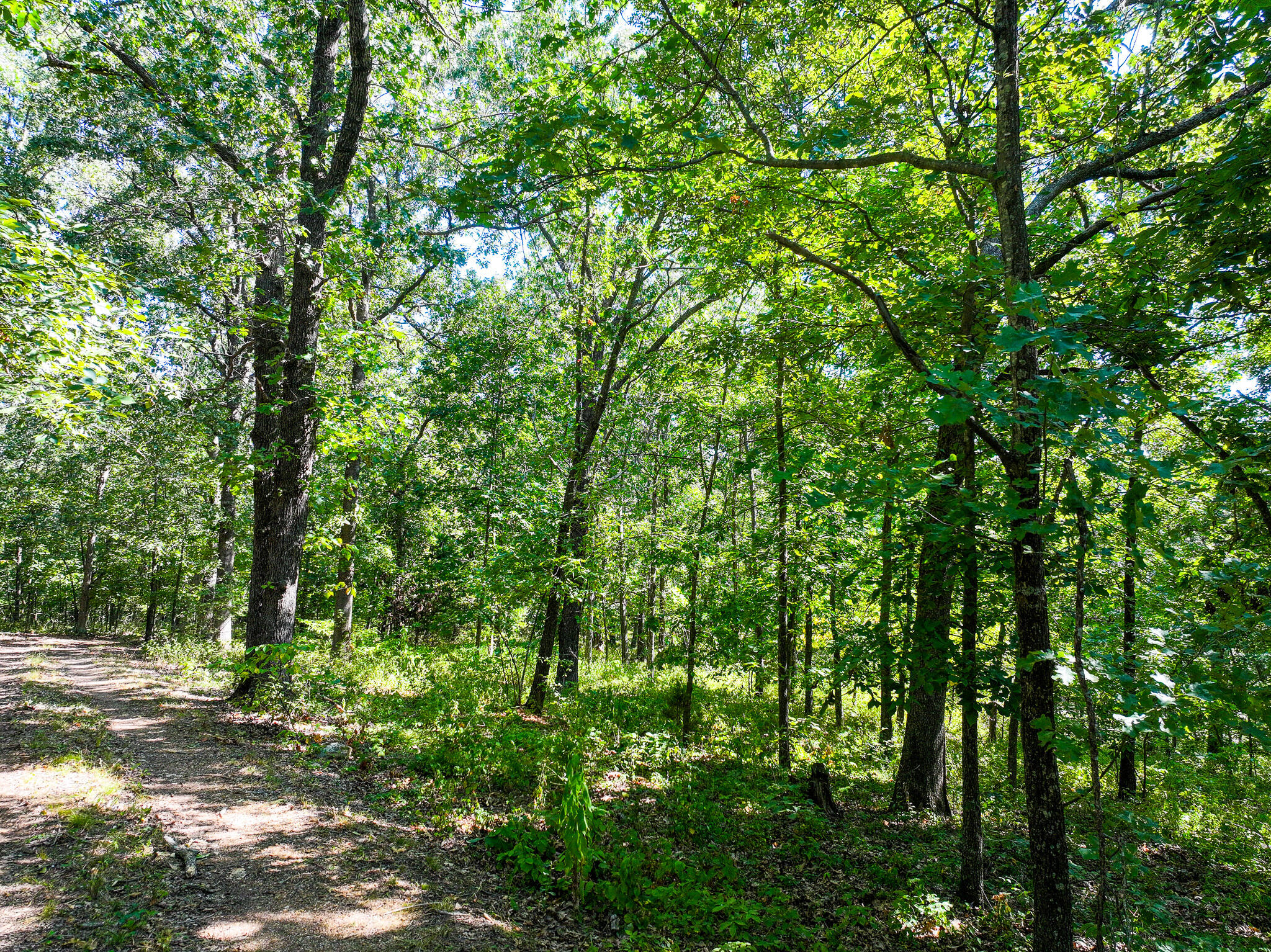 1855 Northeast 655 Private Road Property Photo 11