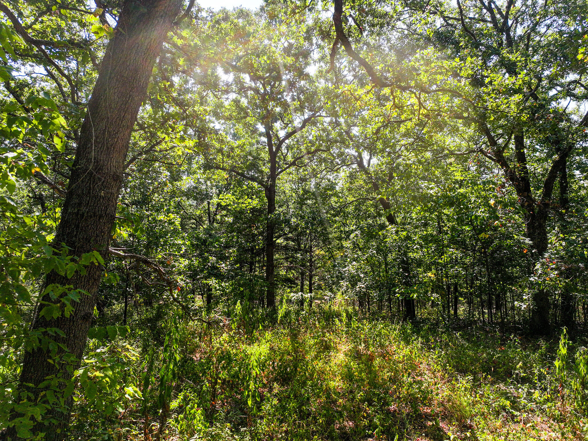1855 Northeast 655 Private Road Property Photo 26