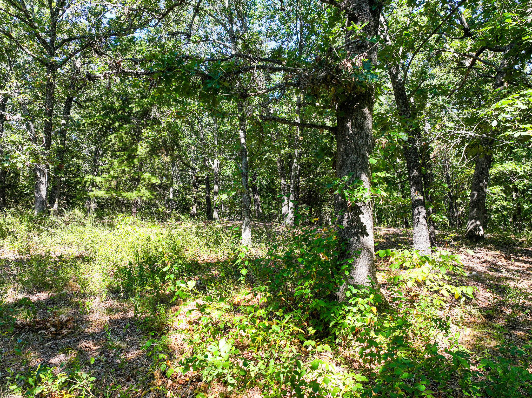 1855 Northeast 655 Private Road Property Photo 37