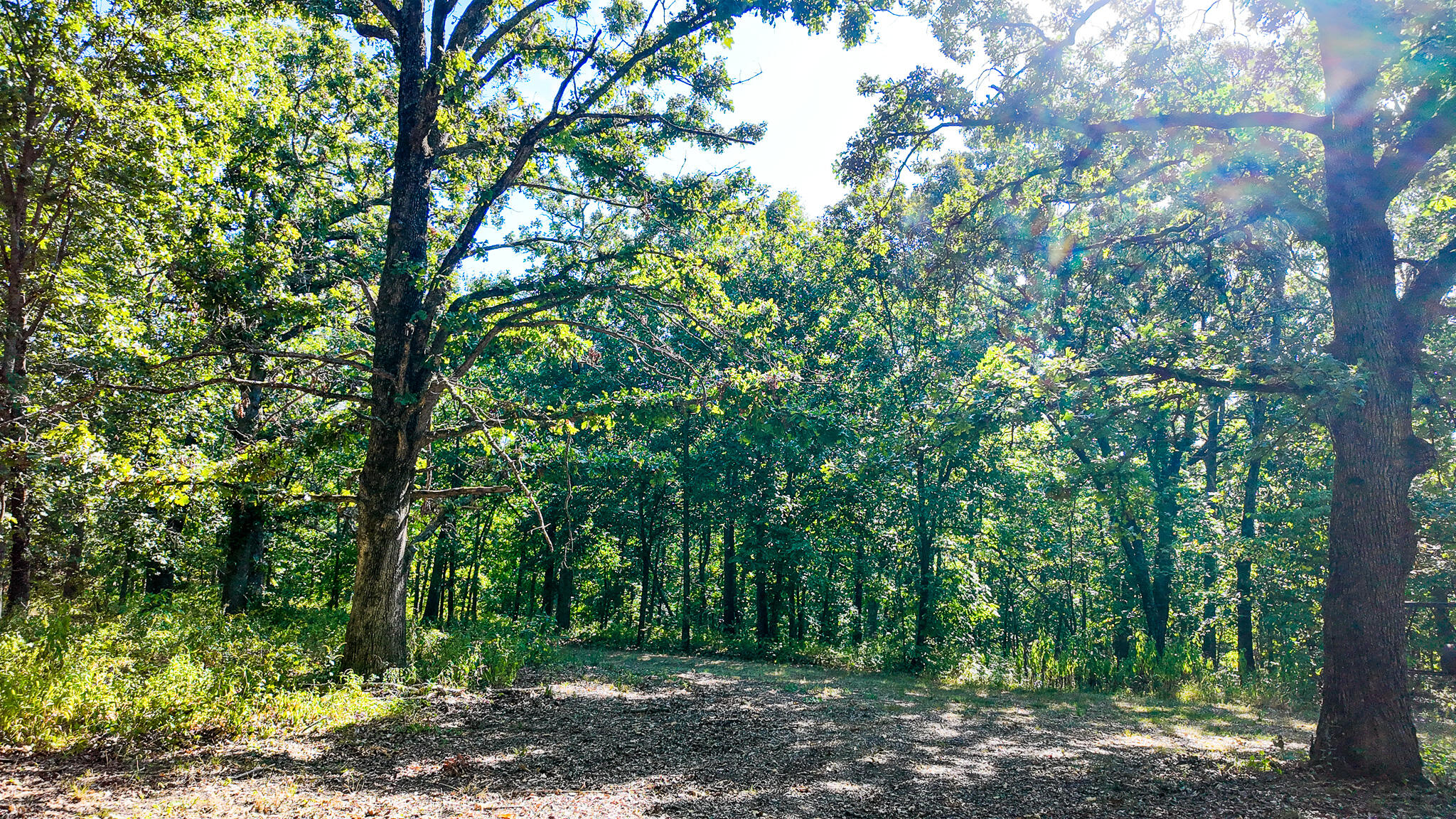1855 Northeast 655 Private Road Property Photo 39