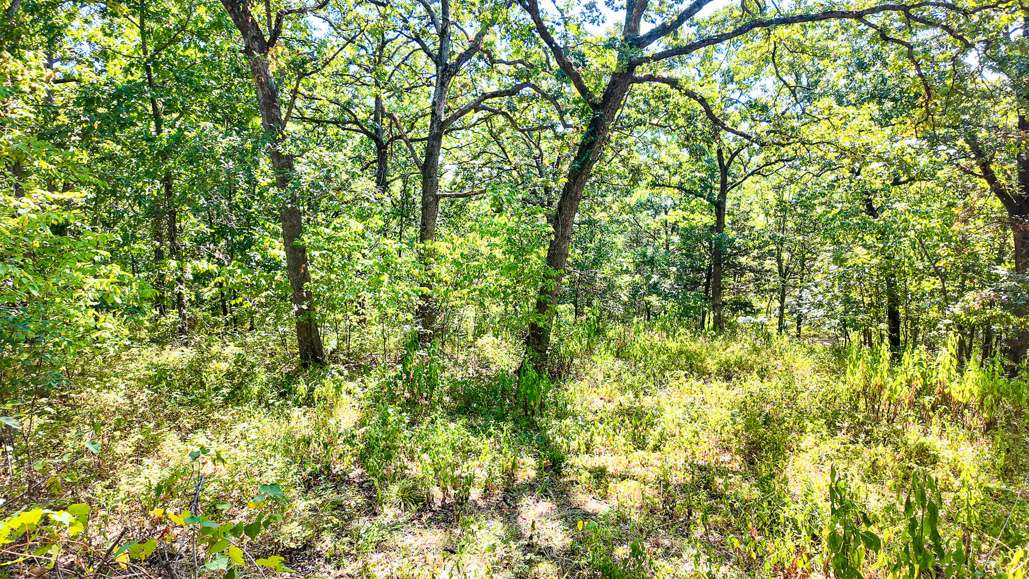 1855 Northeast 655 Private Road Property Photo 41
