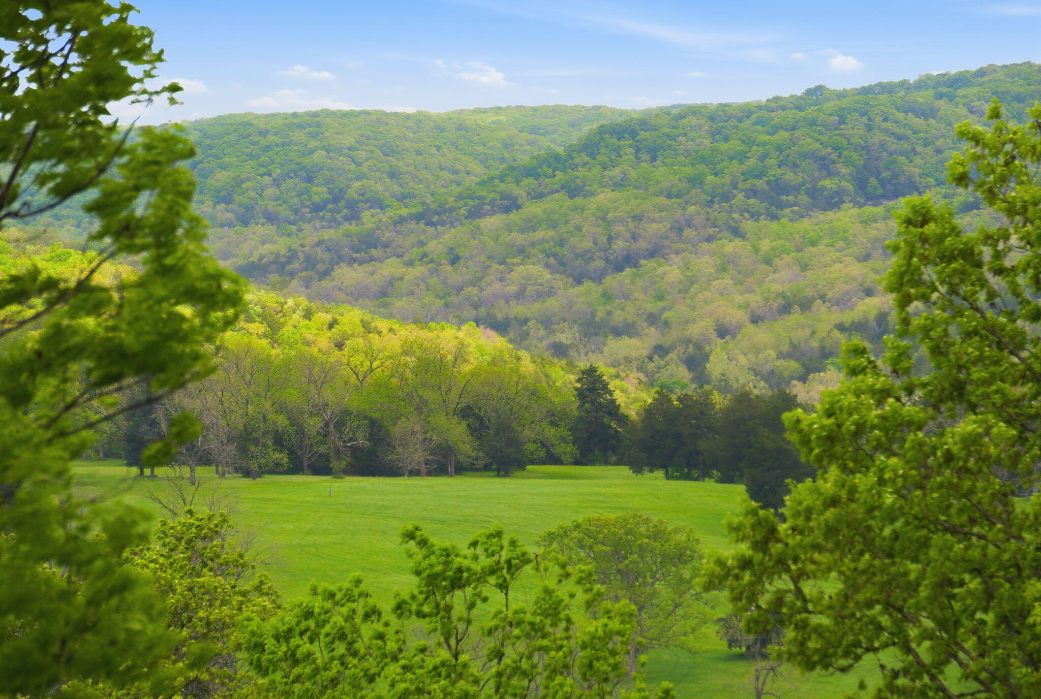 Lot 2 Meadowview Lane Property Photo 3