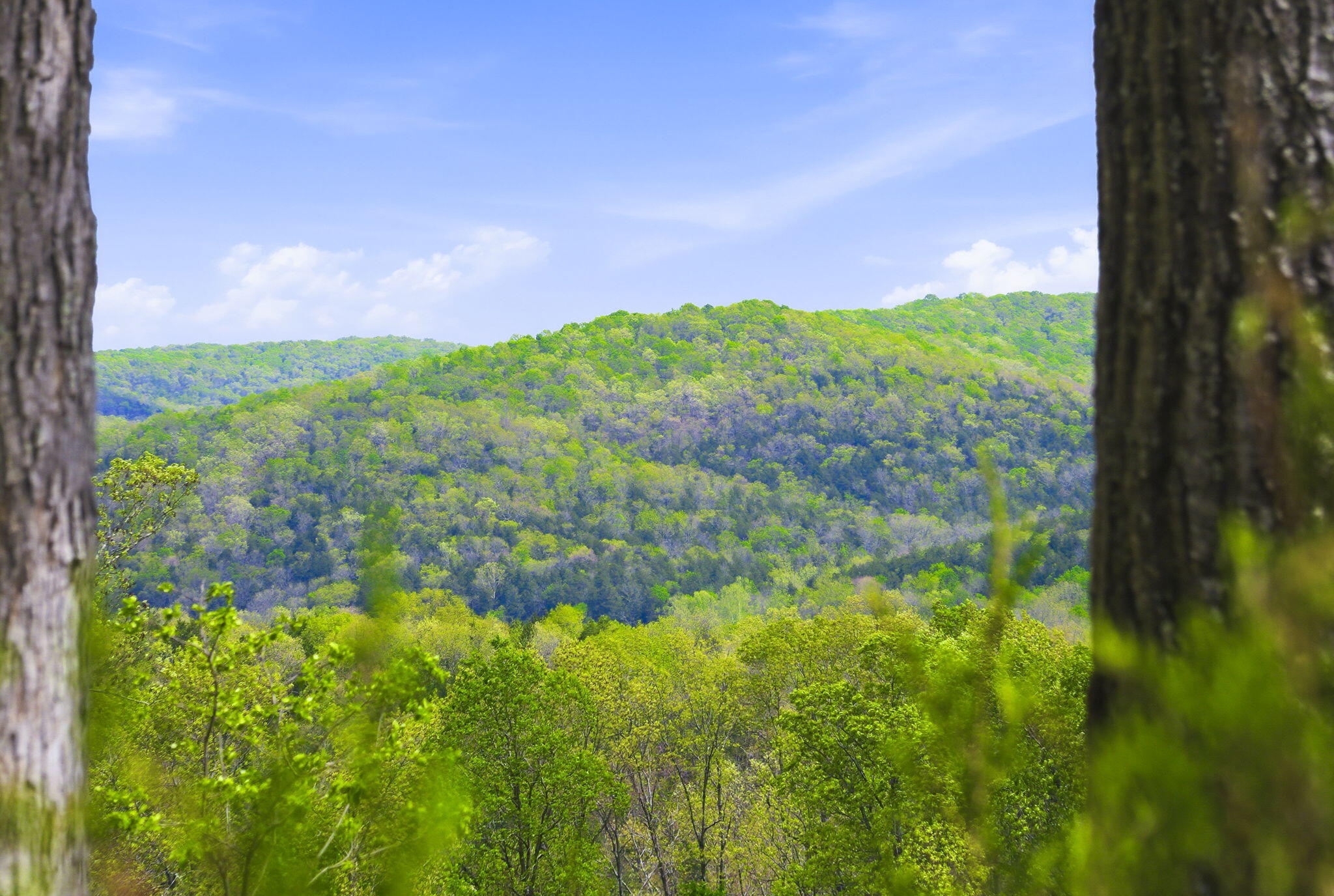 Lot 2 Meadowview Lane Property Photo 6