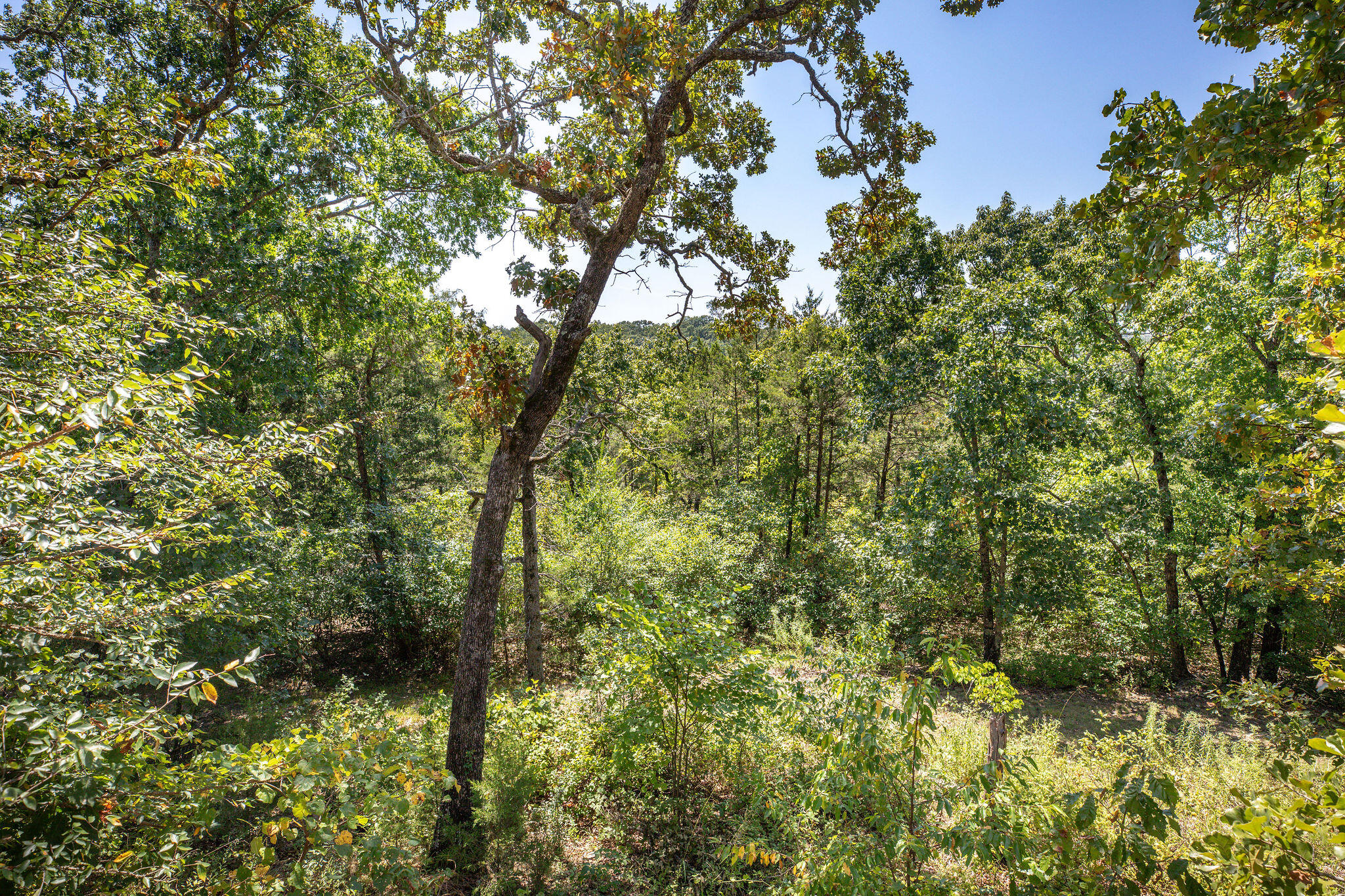 229 Shore Acres Drive Property Photo 33