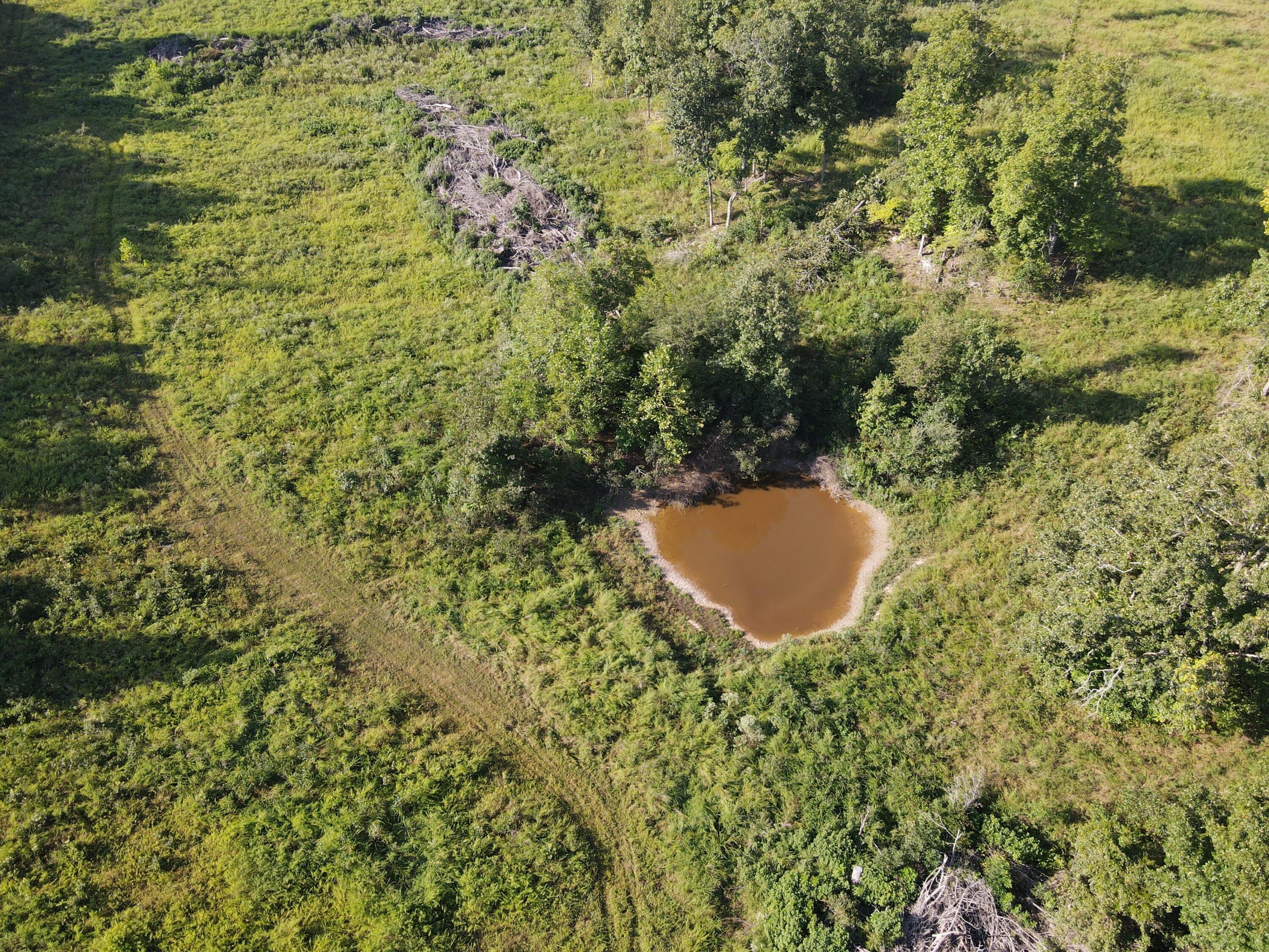 000 State Highway O Property Photo 27