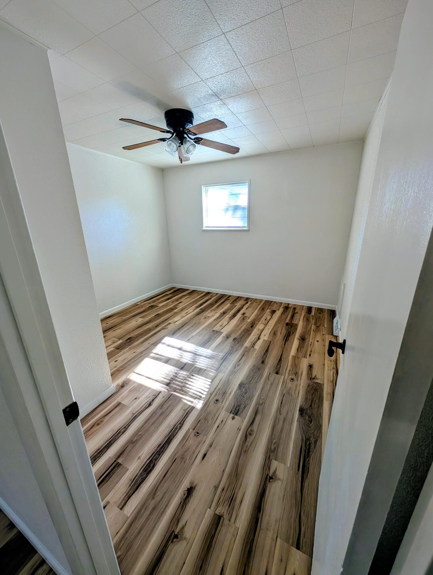 303 Vine Street Property Photo 14