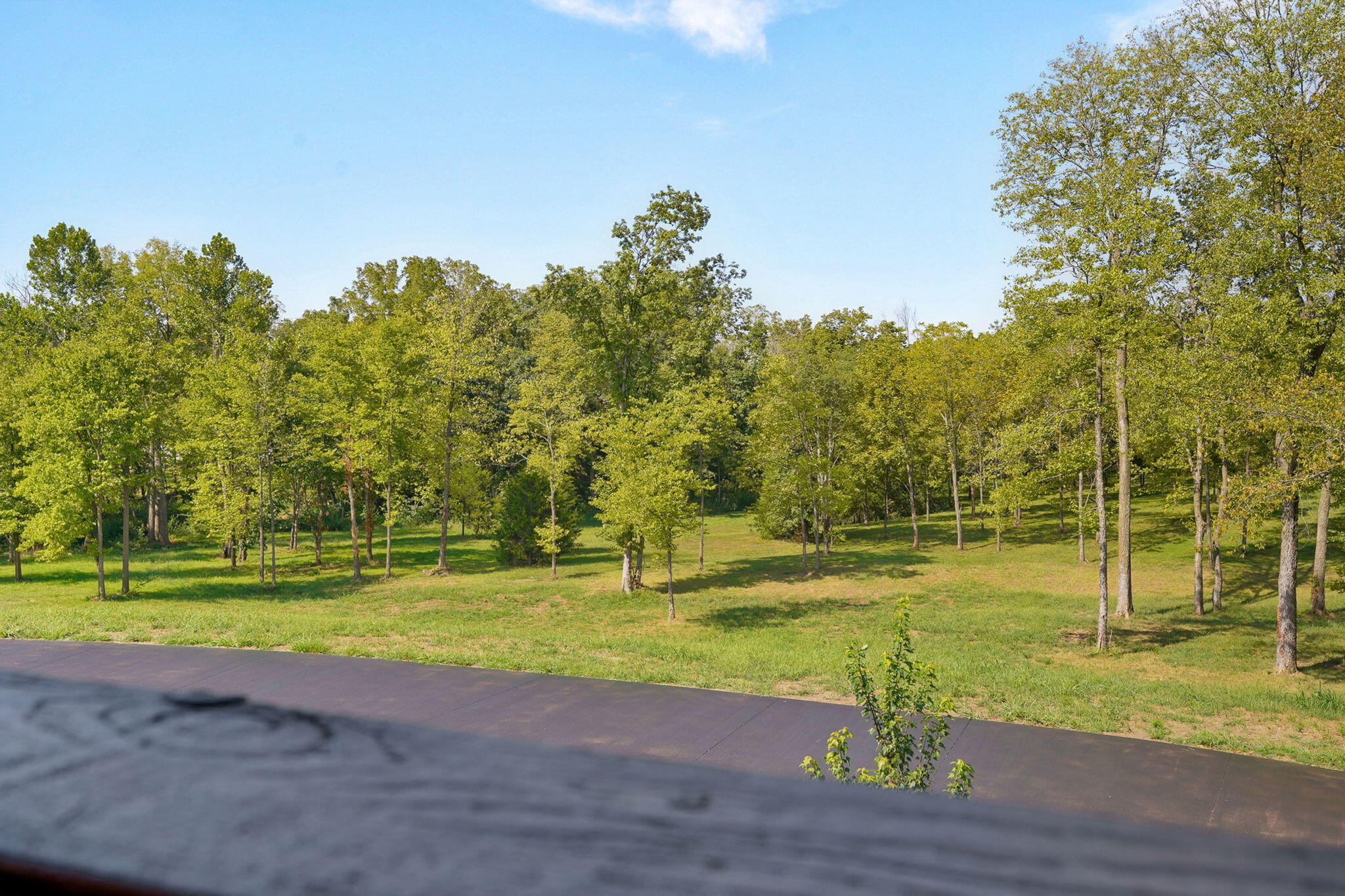 497 Double Spring Road Property Photo 118