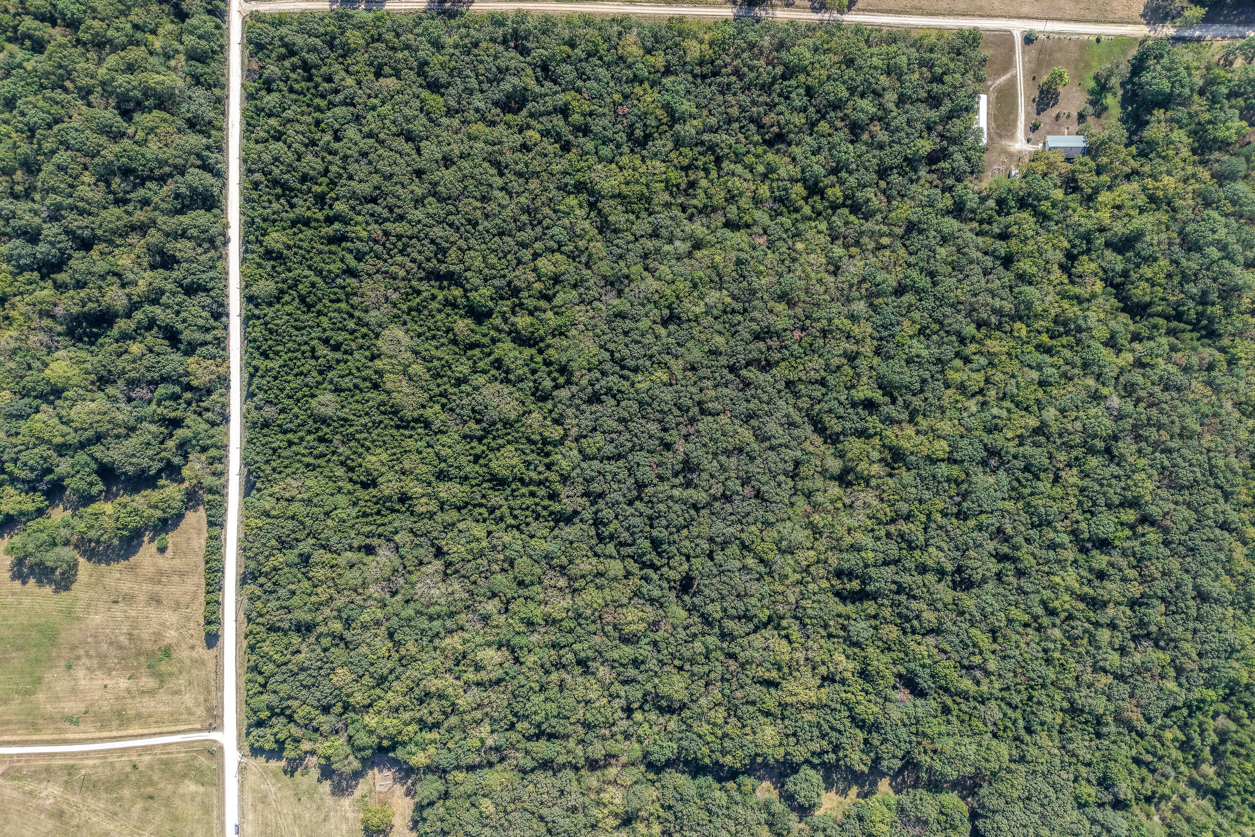 000 County Line Rd Property Photo 2