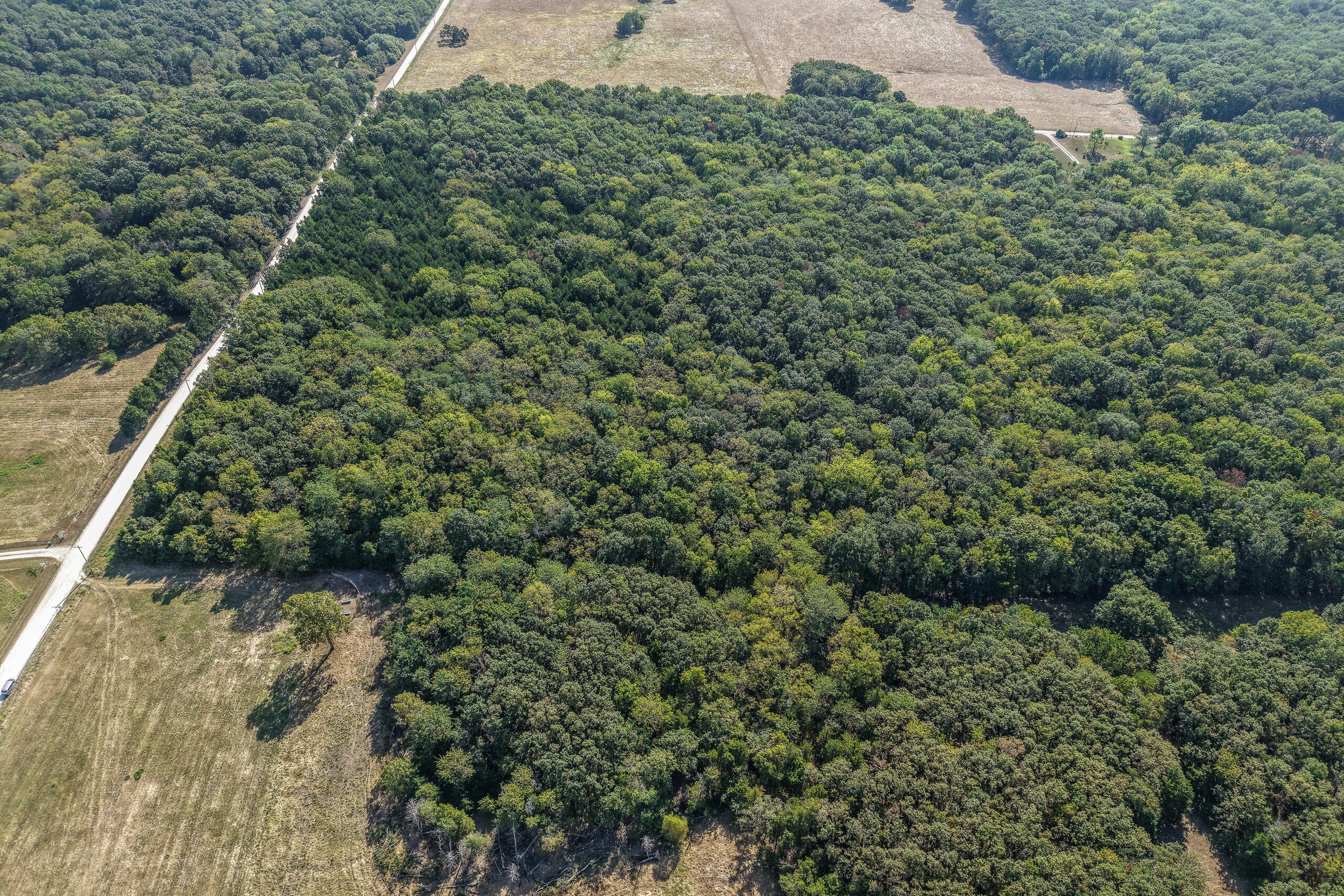 000 County Line Rd Property Photo 3