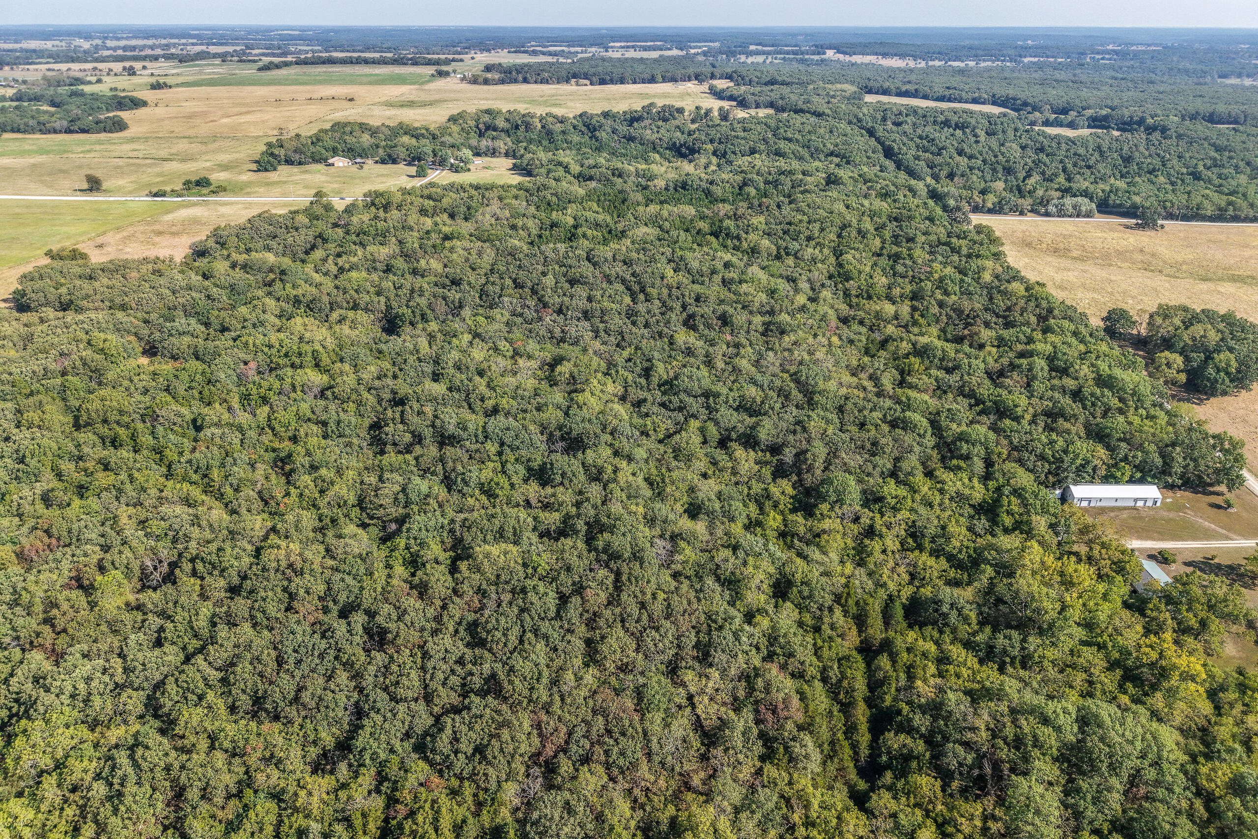 000 County Line Rd Property Photo 8