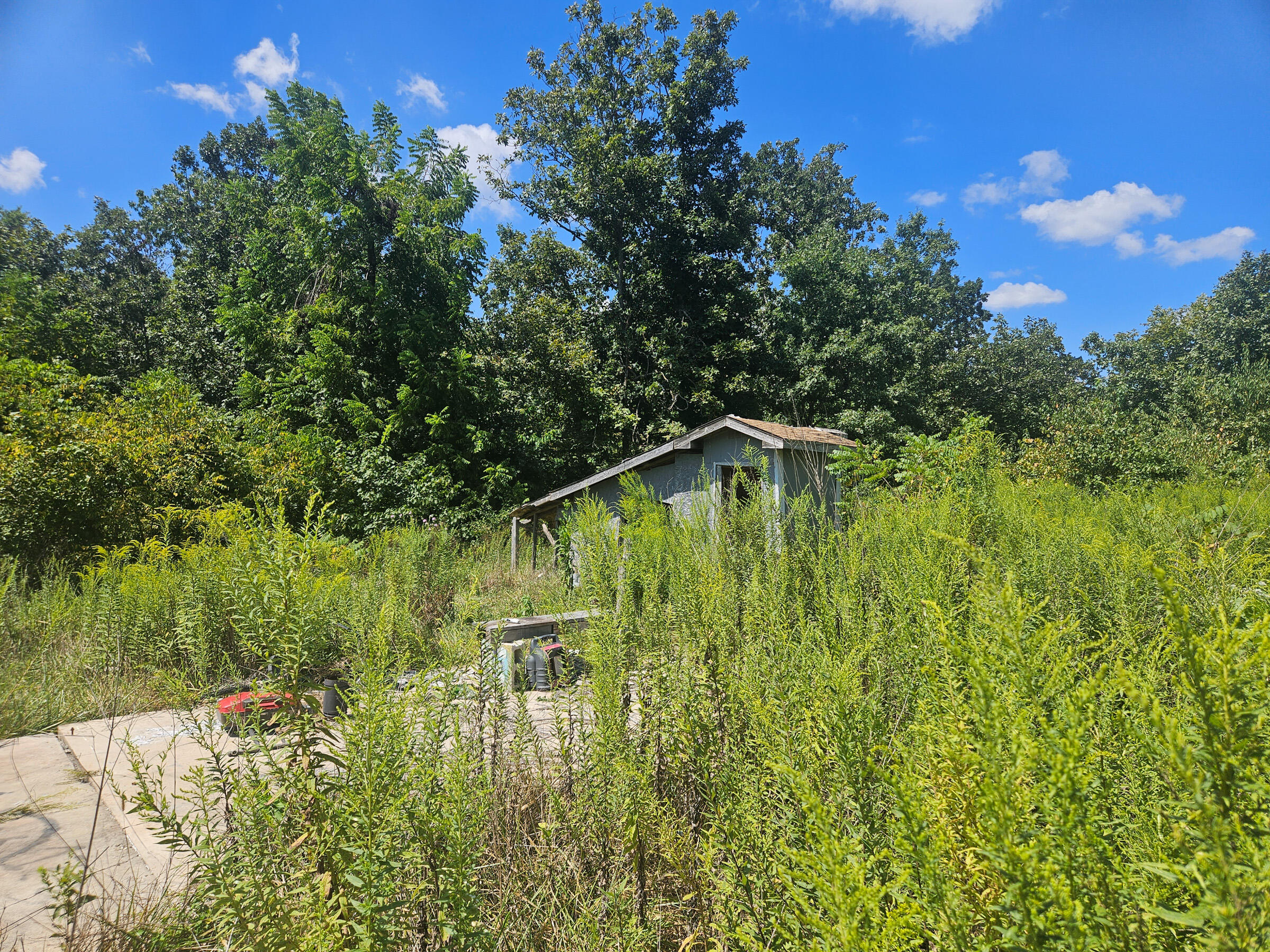 1169 County Road 2790 Property Photo 5