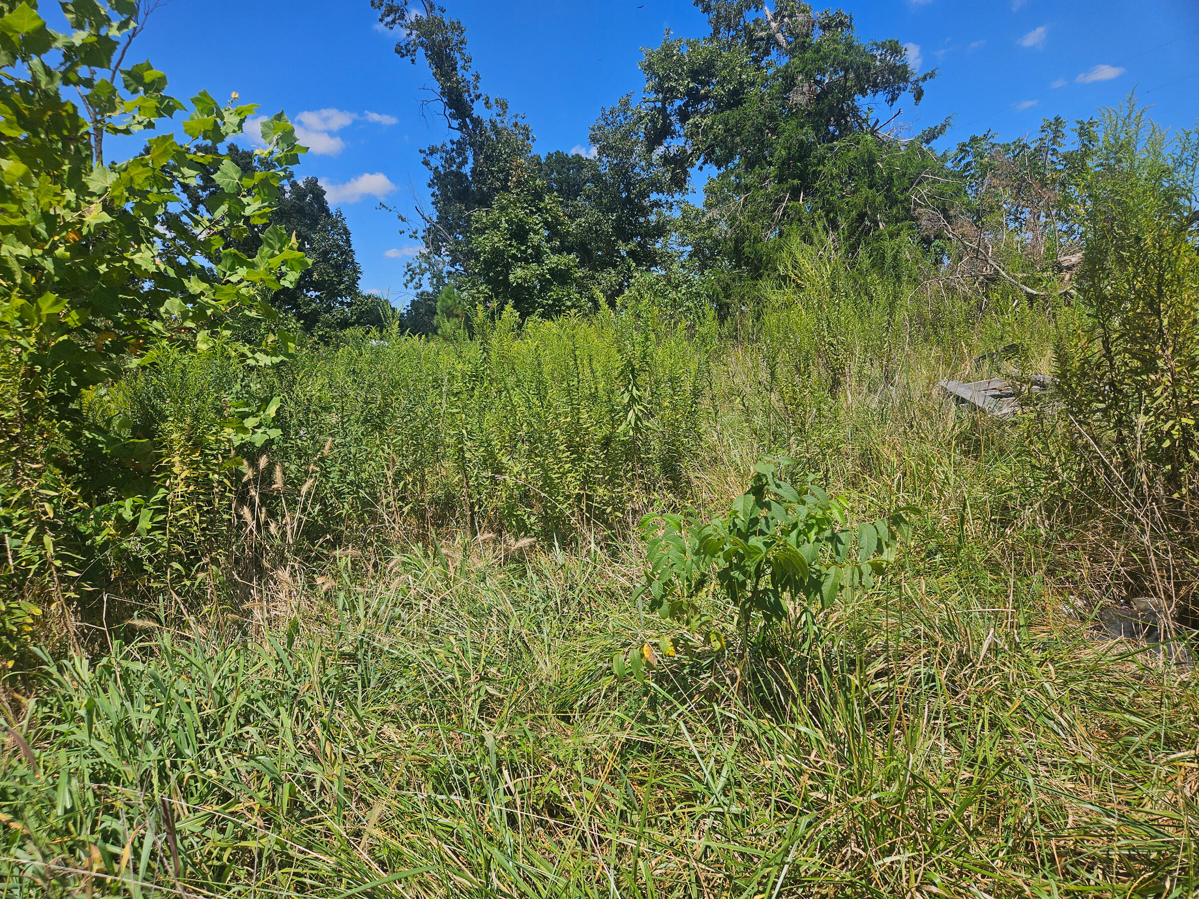 1169 County Road 2790 Property Photo 6