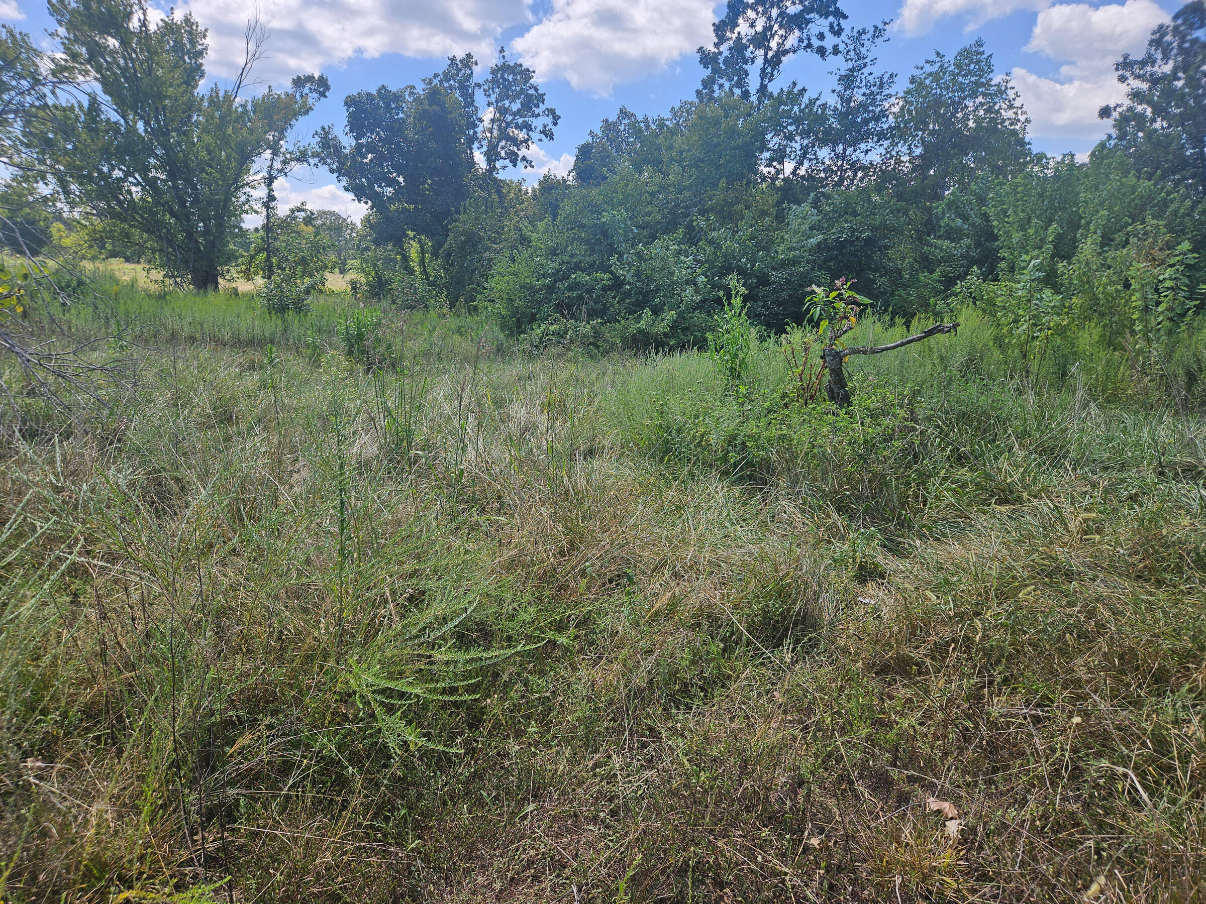 1169 County Road 2790 Property Photo 8