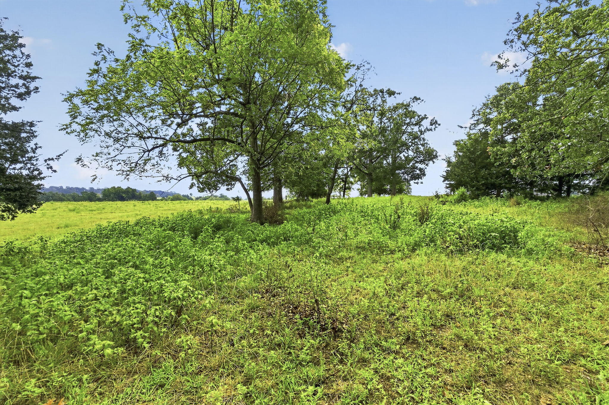 000 East State Highway 215 Property Photo 4