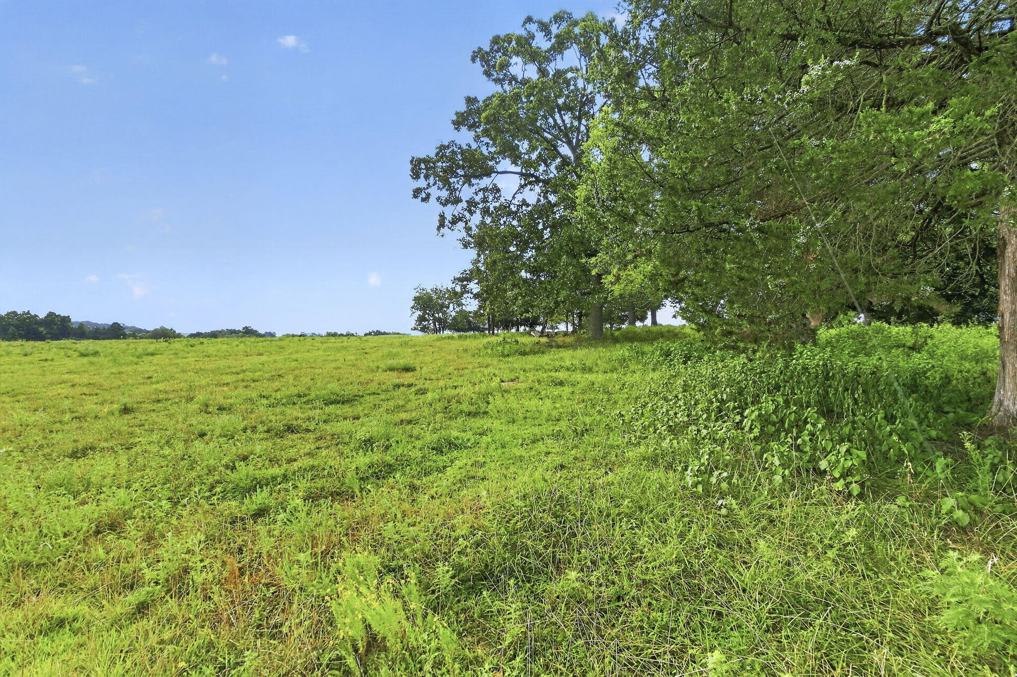 000 East State Highway 215 Property Photo 5