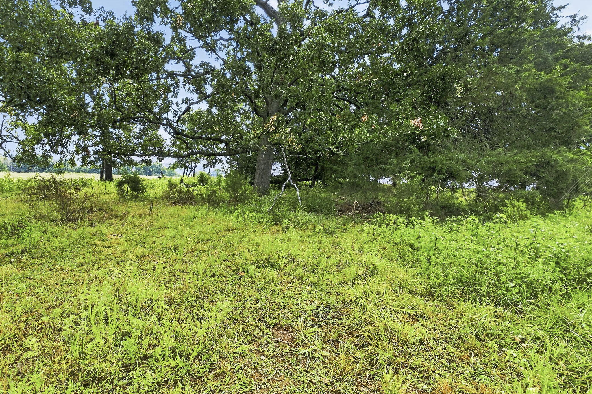 000 East State Highway 215 Property Photo 6