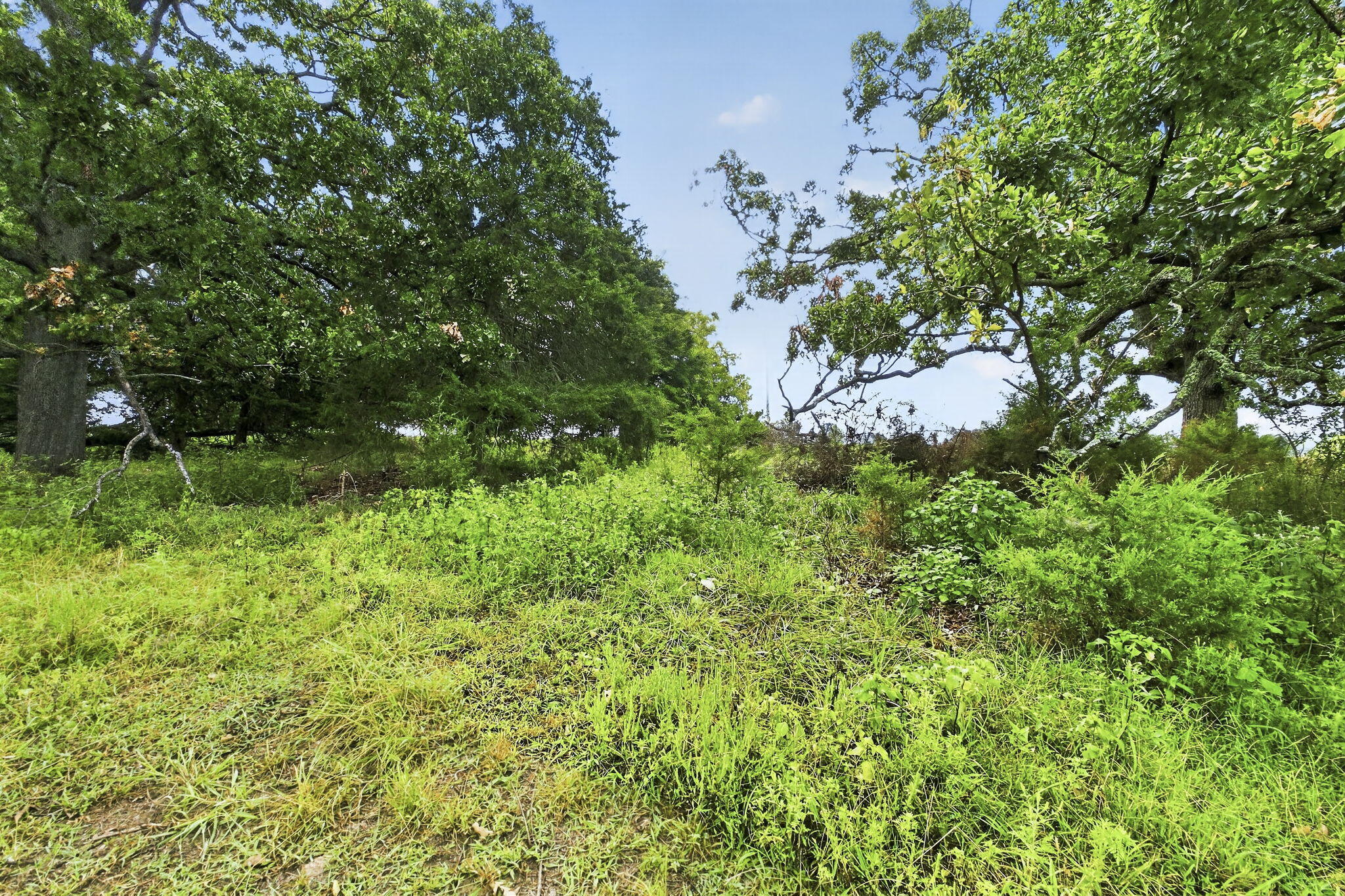 000 East State Highway 215 Property Photo 7