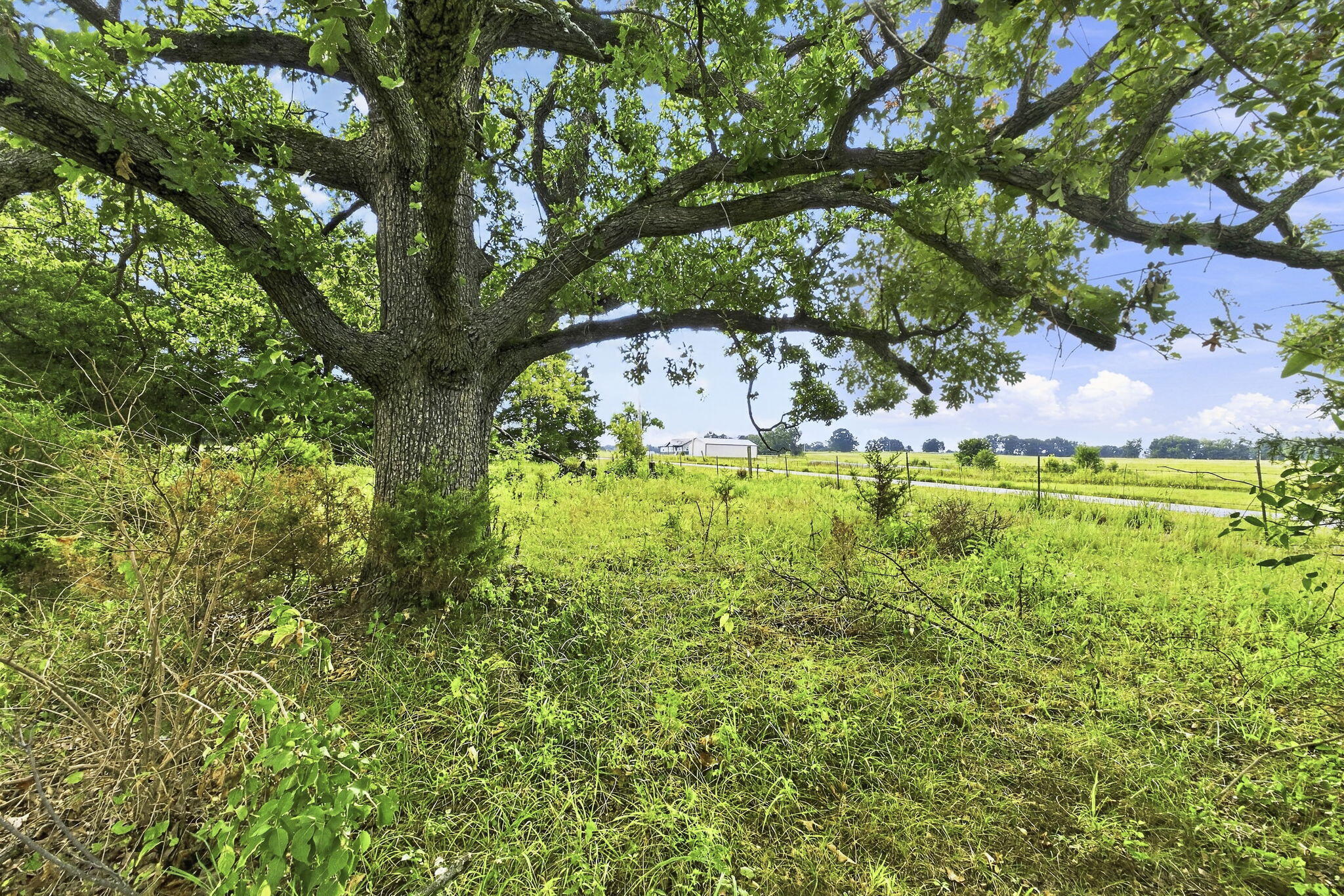 000 East State Highway 215 Property Photo 8