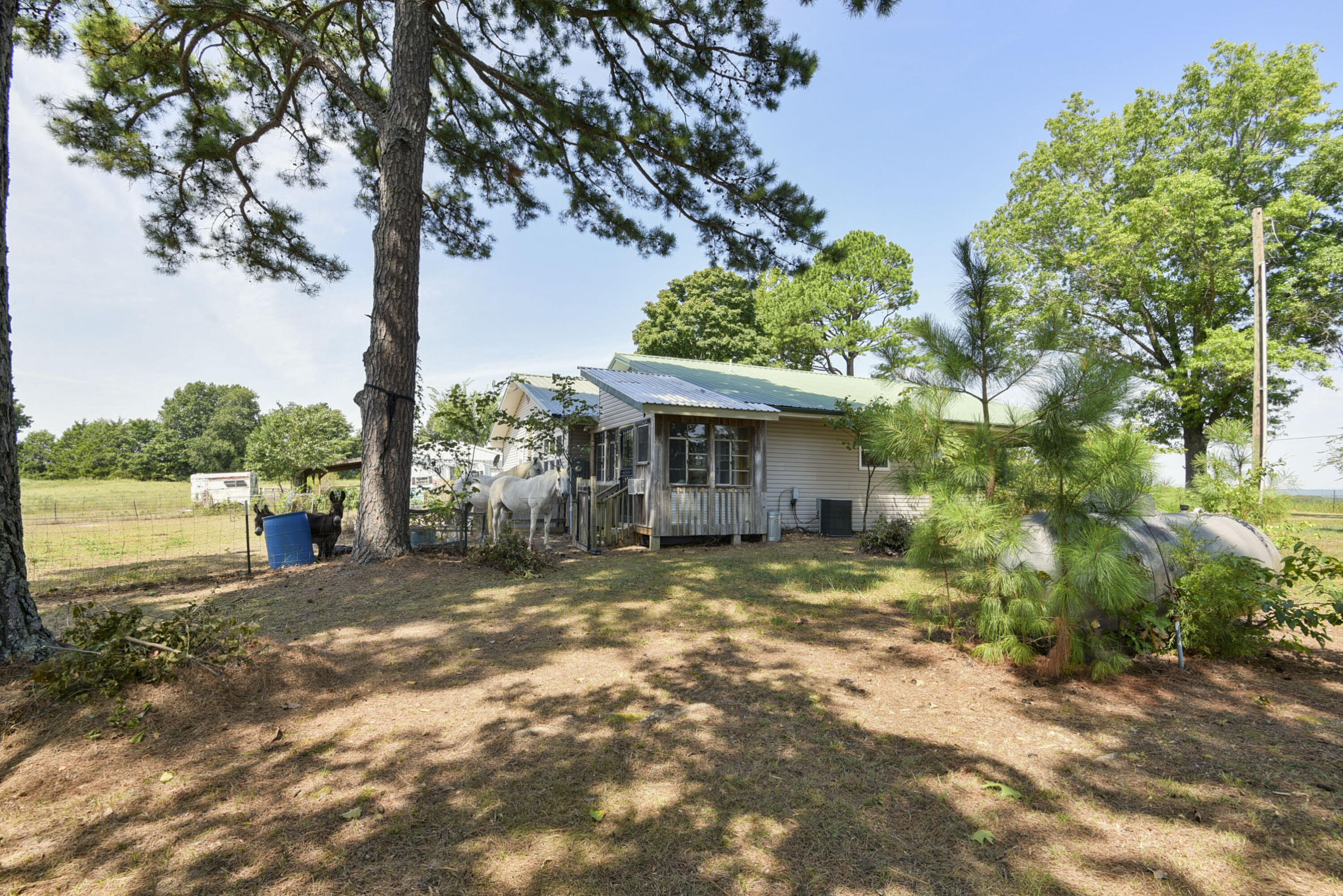 34135 State Hwy 86 Property Photo 5