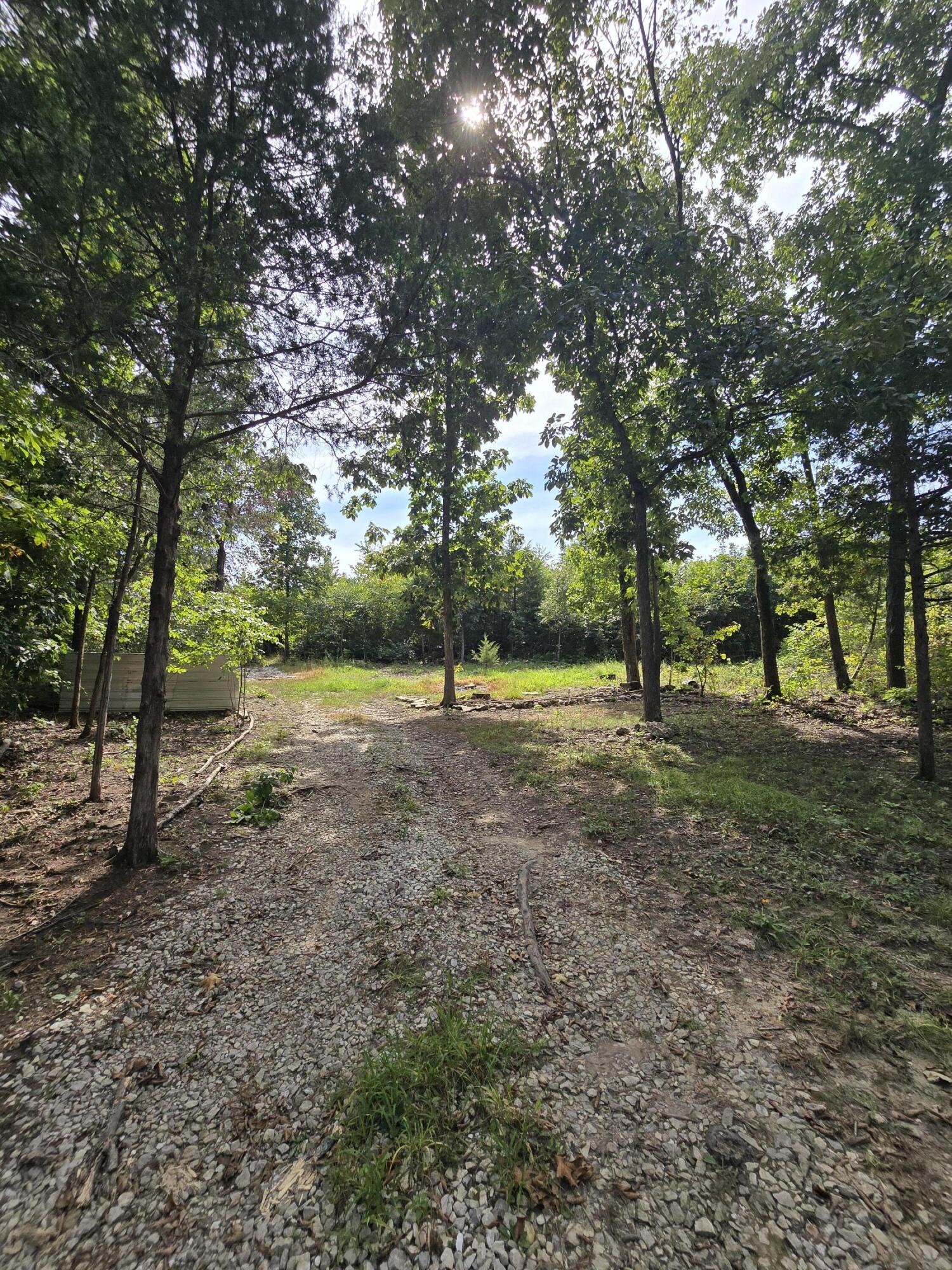 1899 Cedar Gap Central Lane Property Photo 3