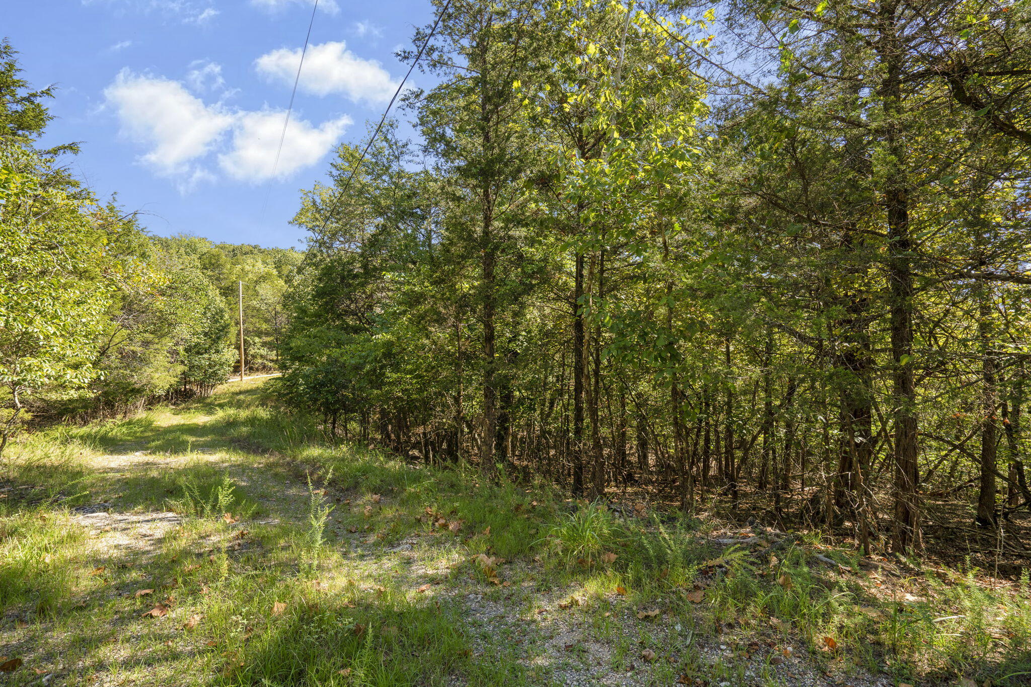 Lots 12&13 Pomme De Terre Road Property Photo 3