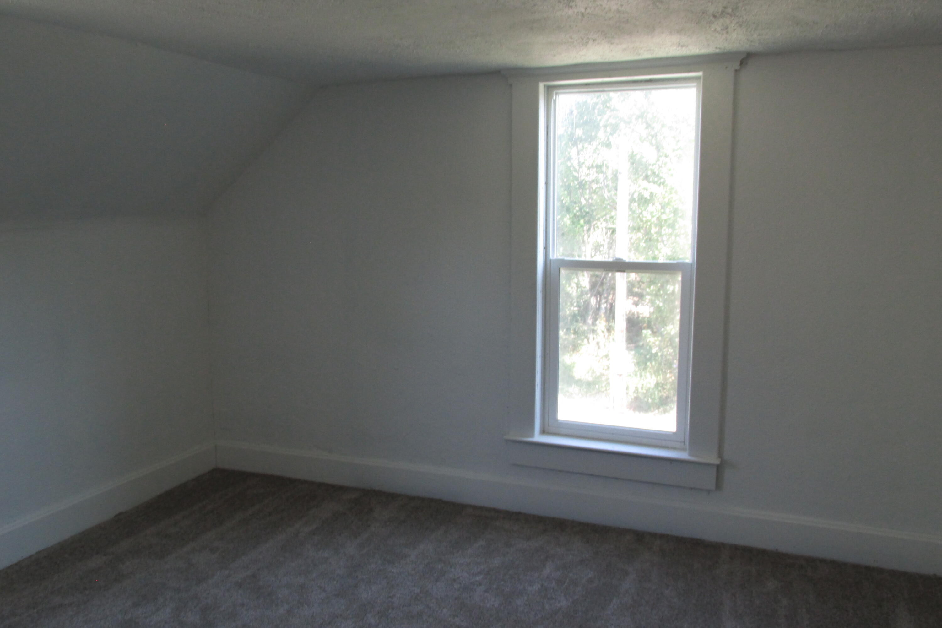 194 Red Clover Road Property Photo 19